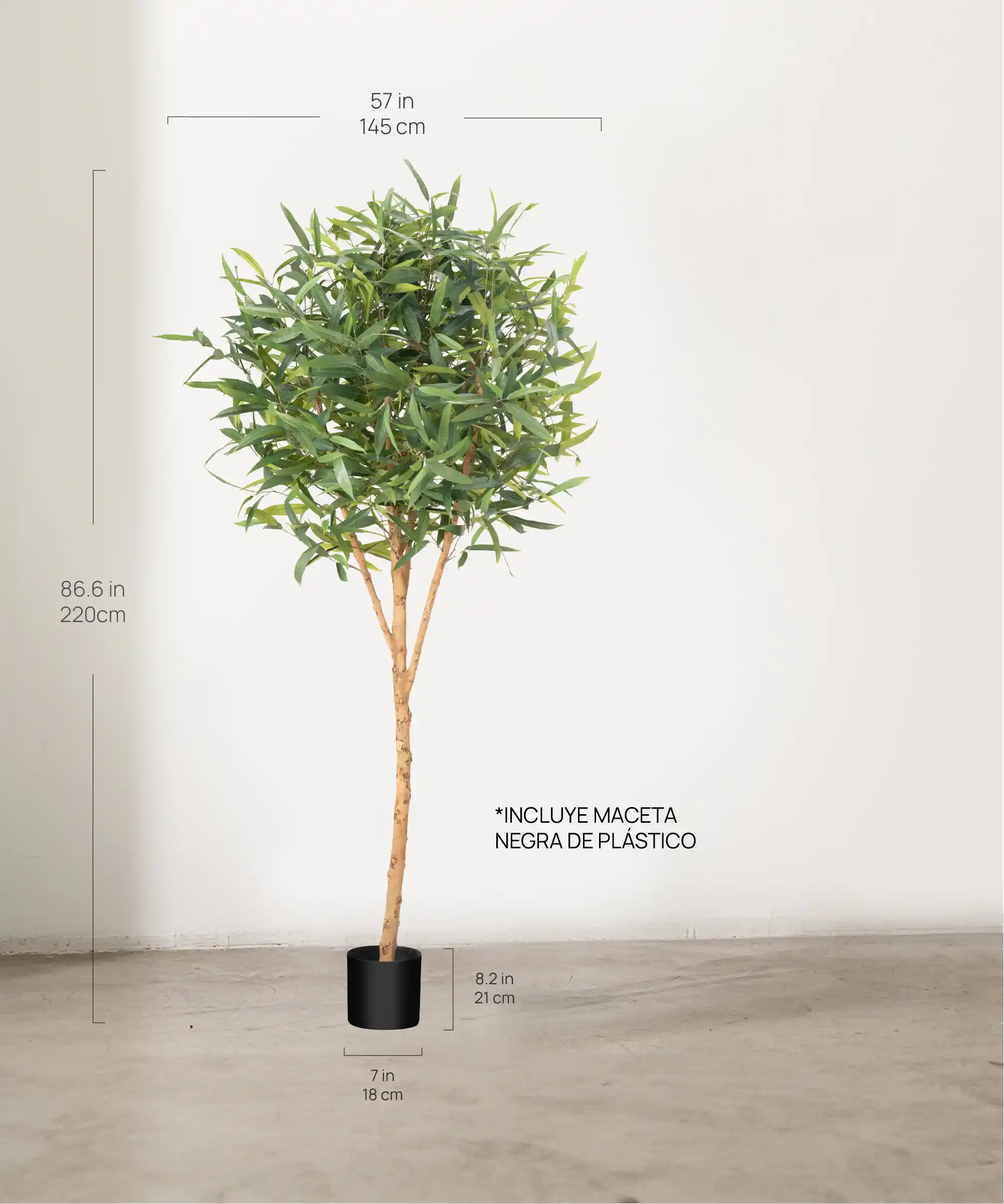 Imagen del producto 4