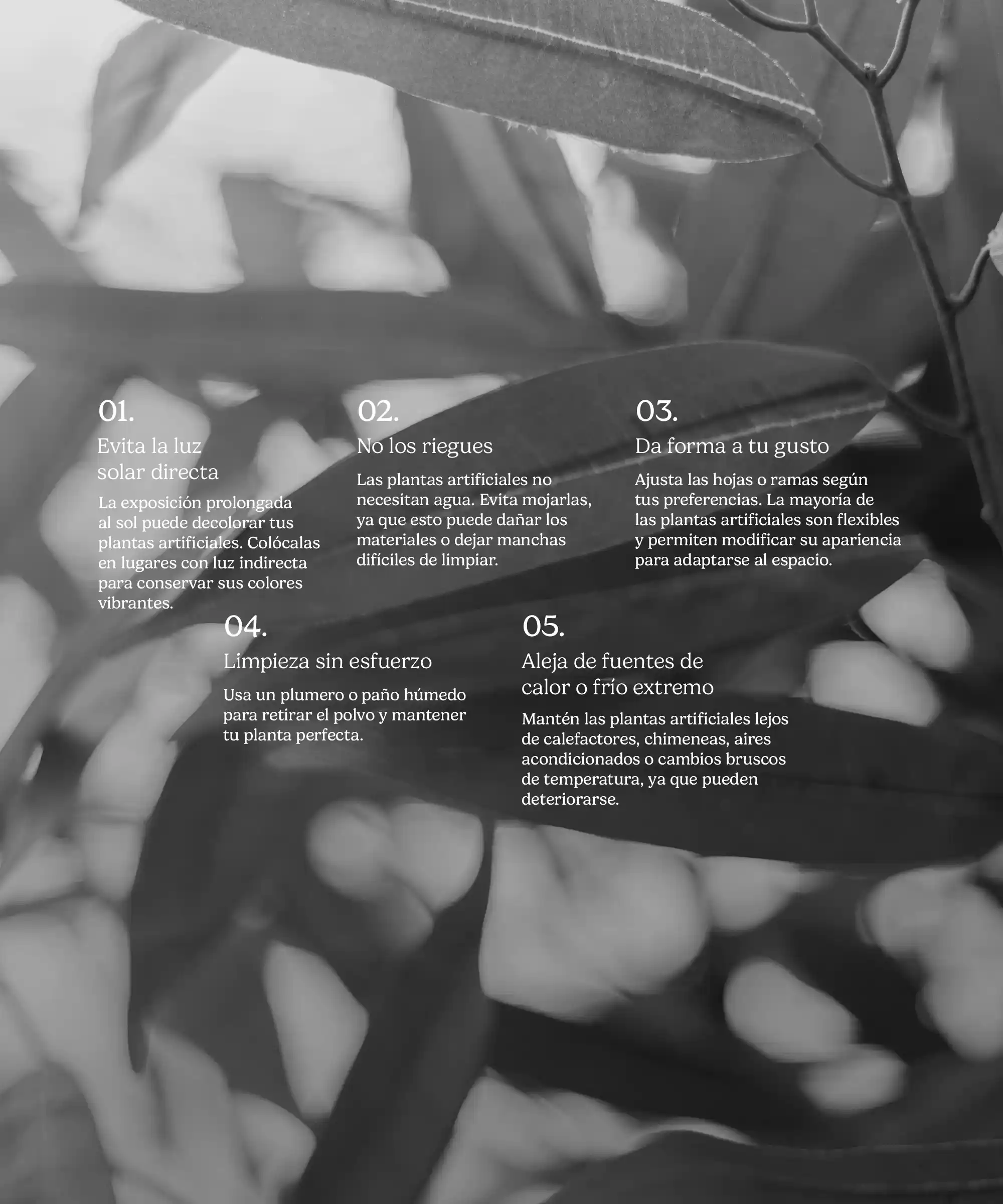 Imagen del producto 7