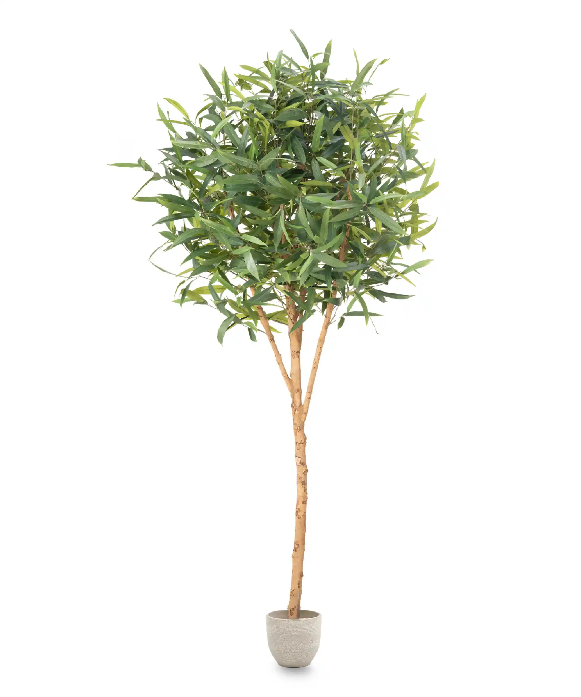 Imagen del producto 8