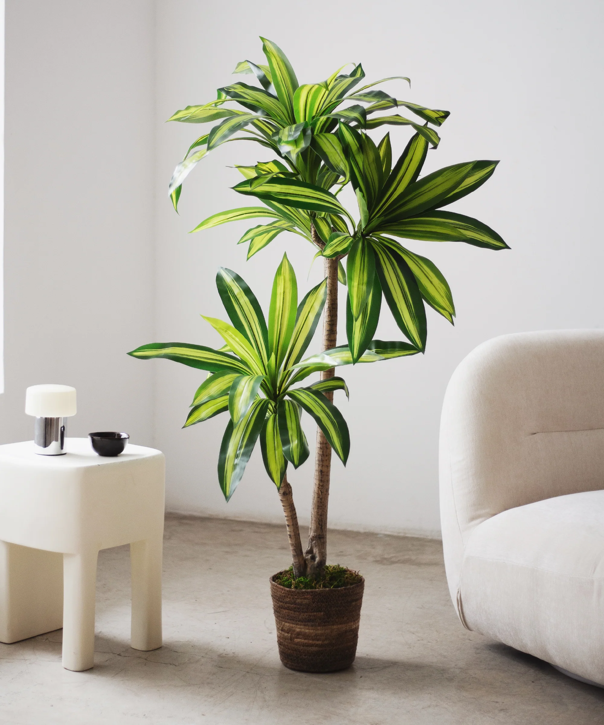 Imagen del producto 4