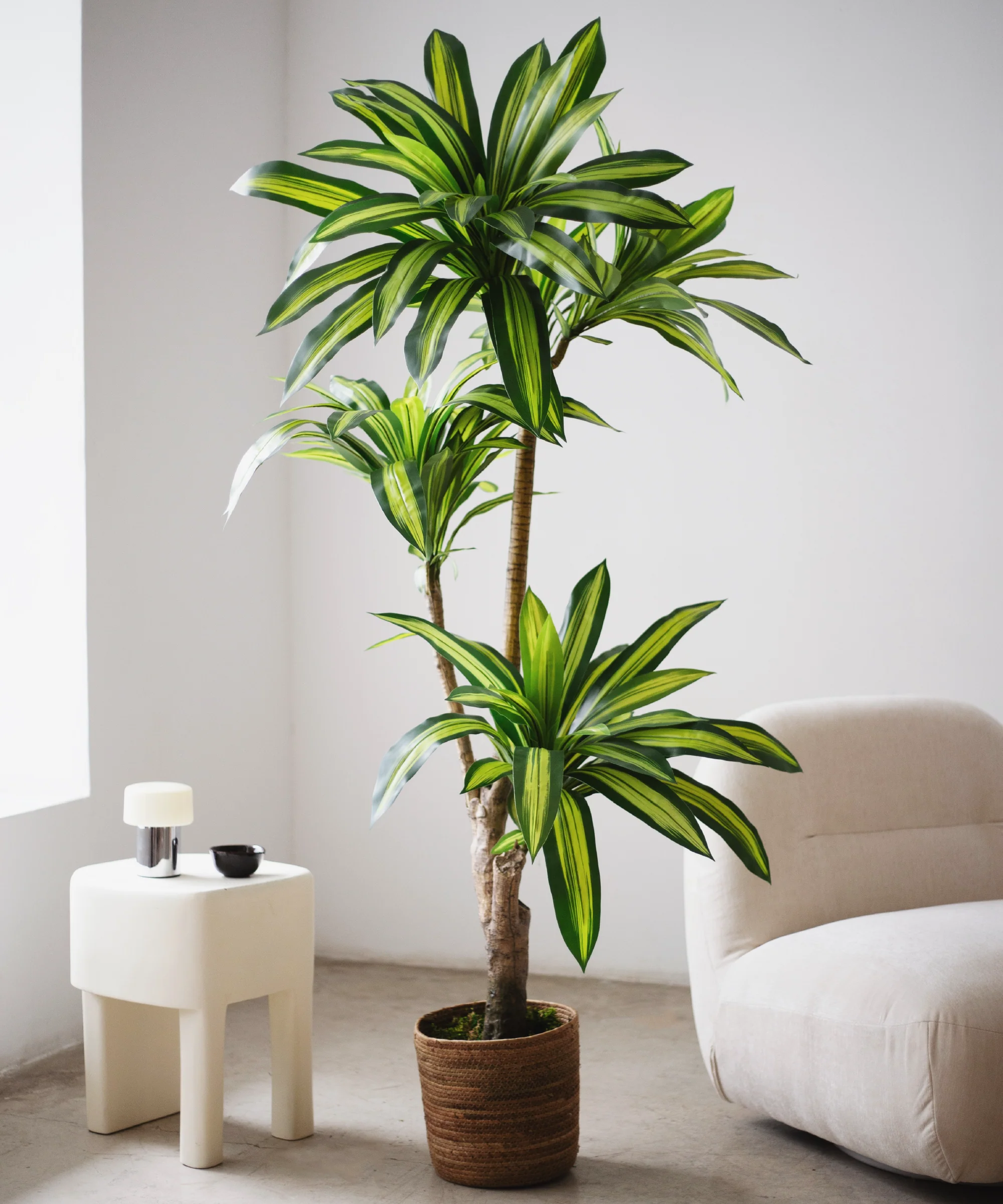 Imagen del producto 6