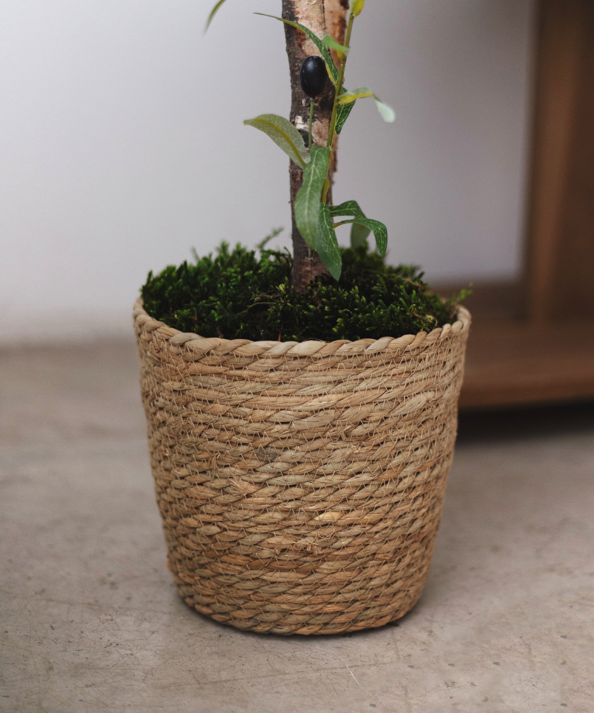 Imagen del producto 4