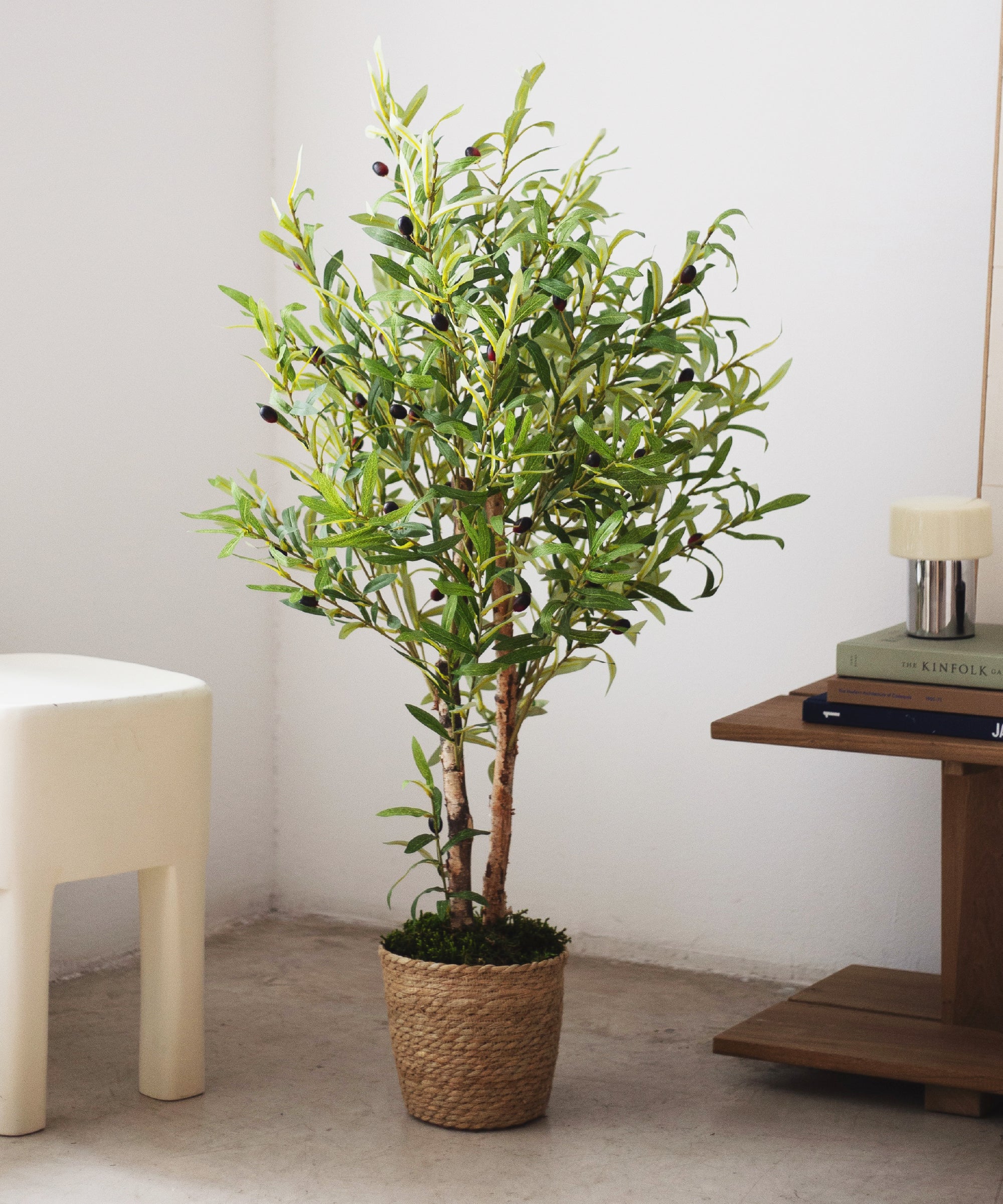 Imagen del producto 5