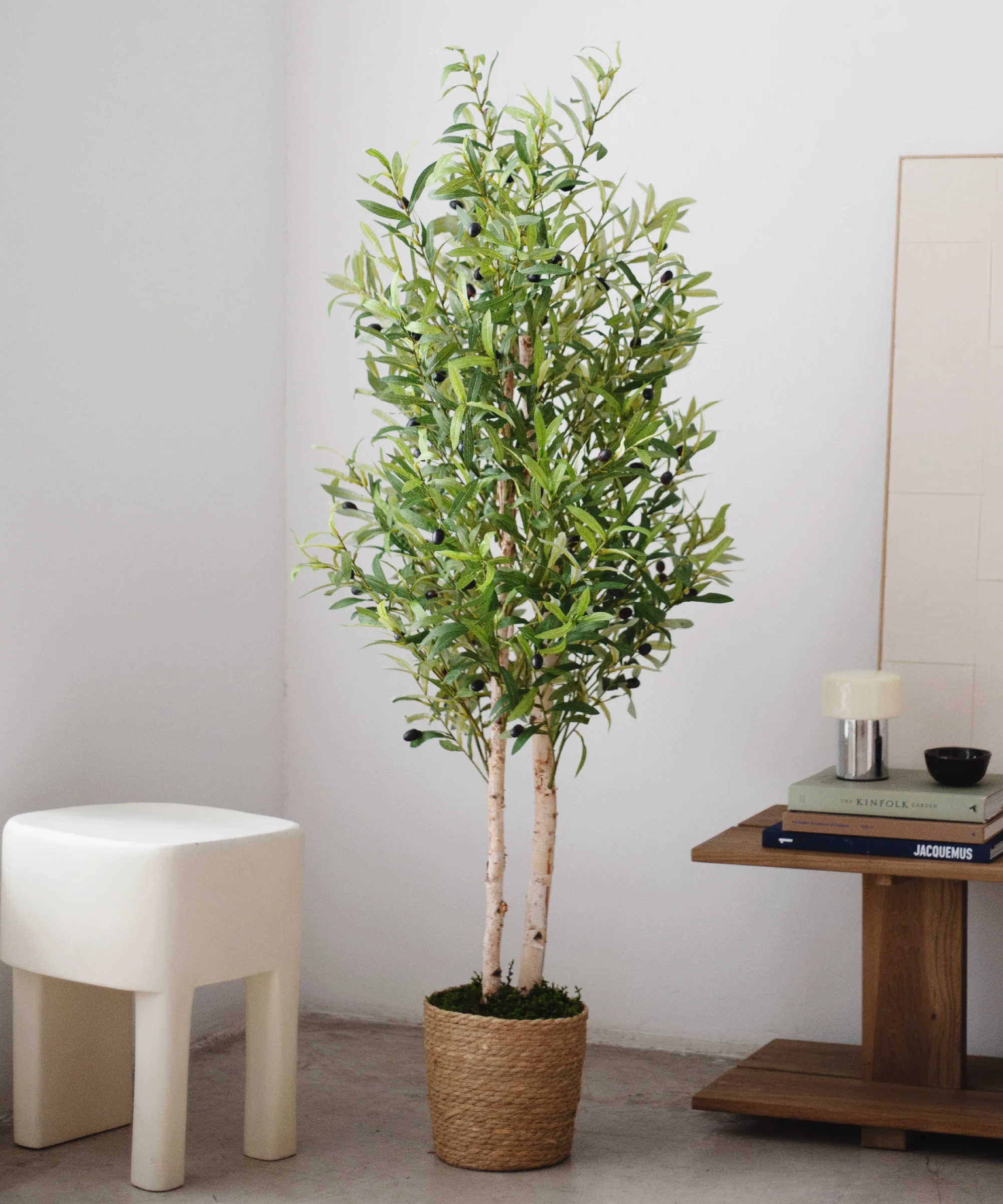 Imagen del producto 6