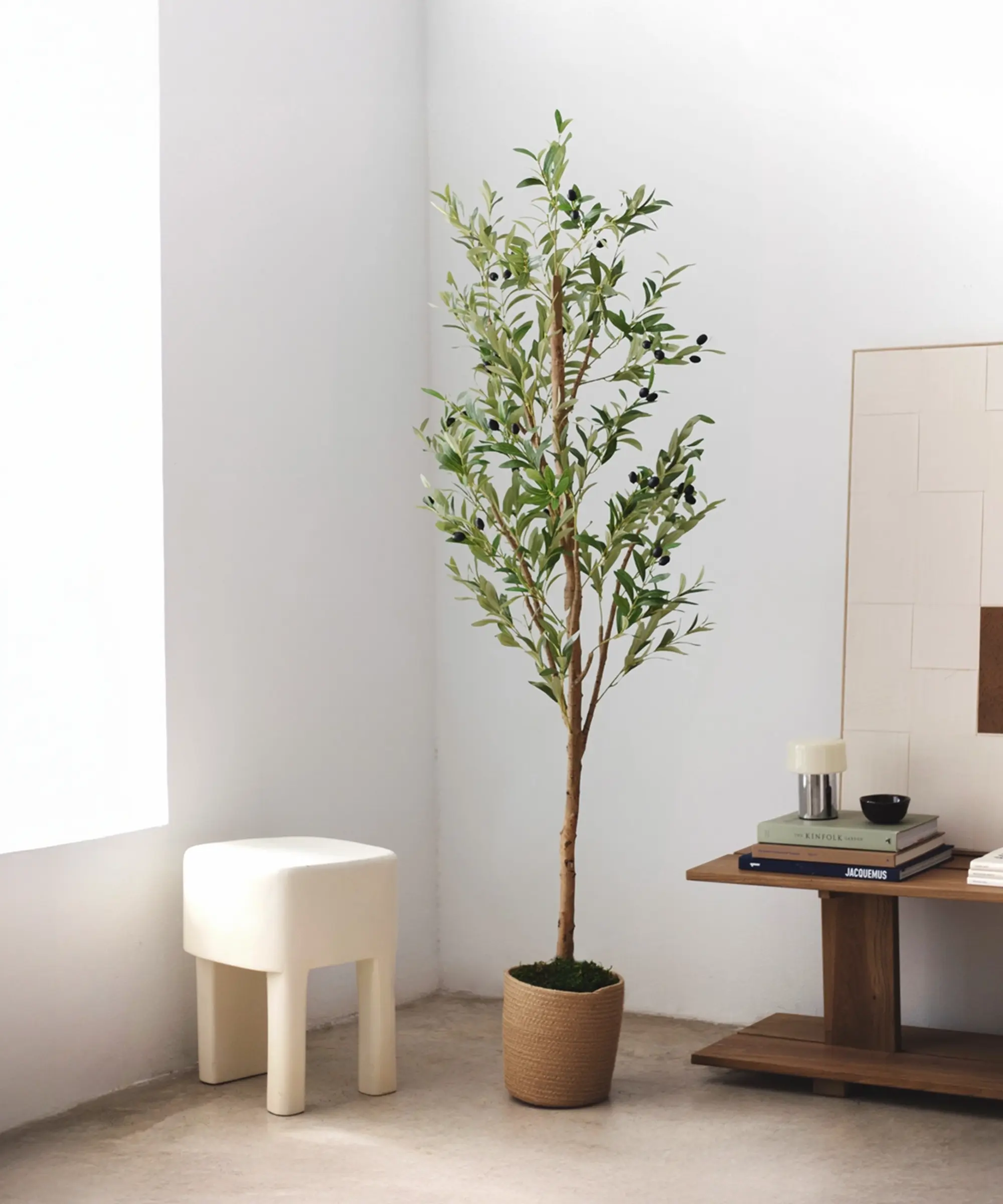 Imagen del producto 8