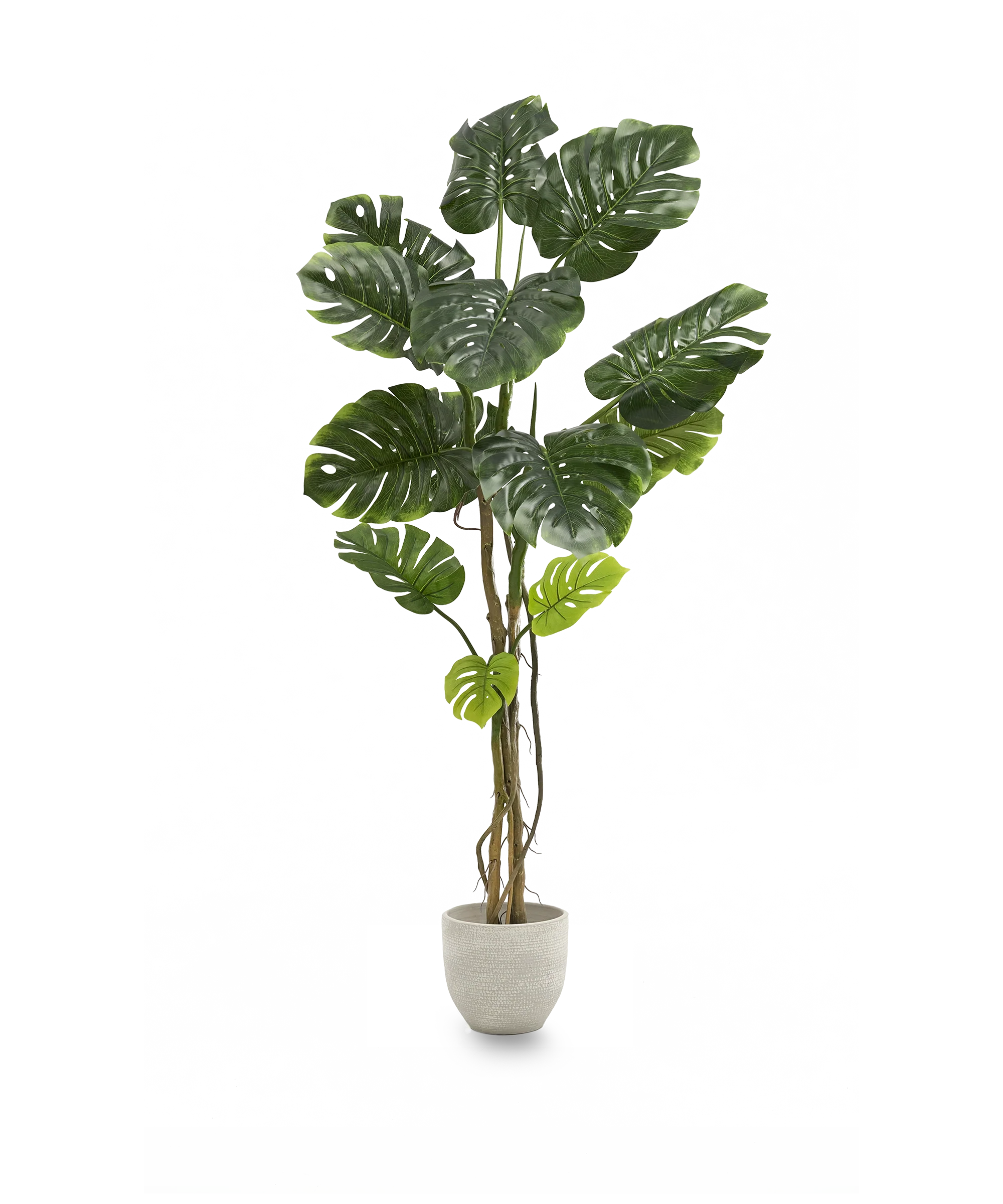 Imagen del producto 10