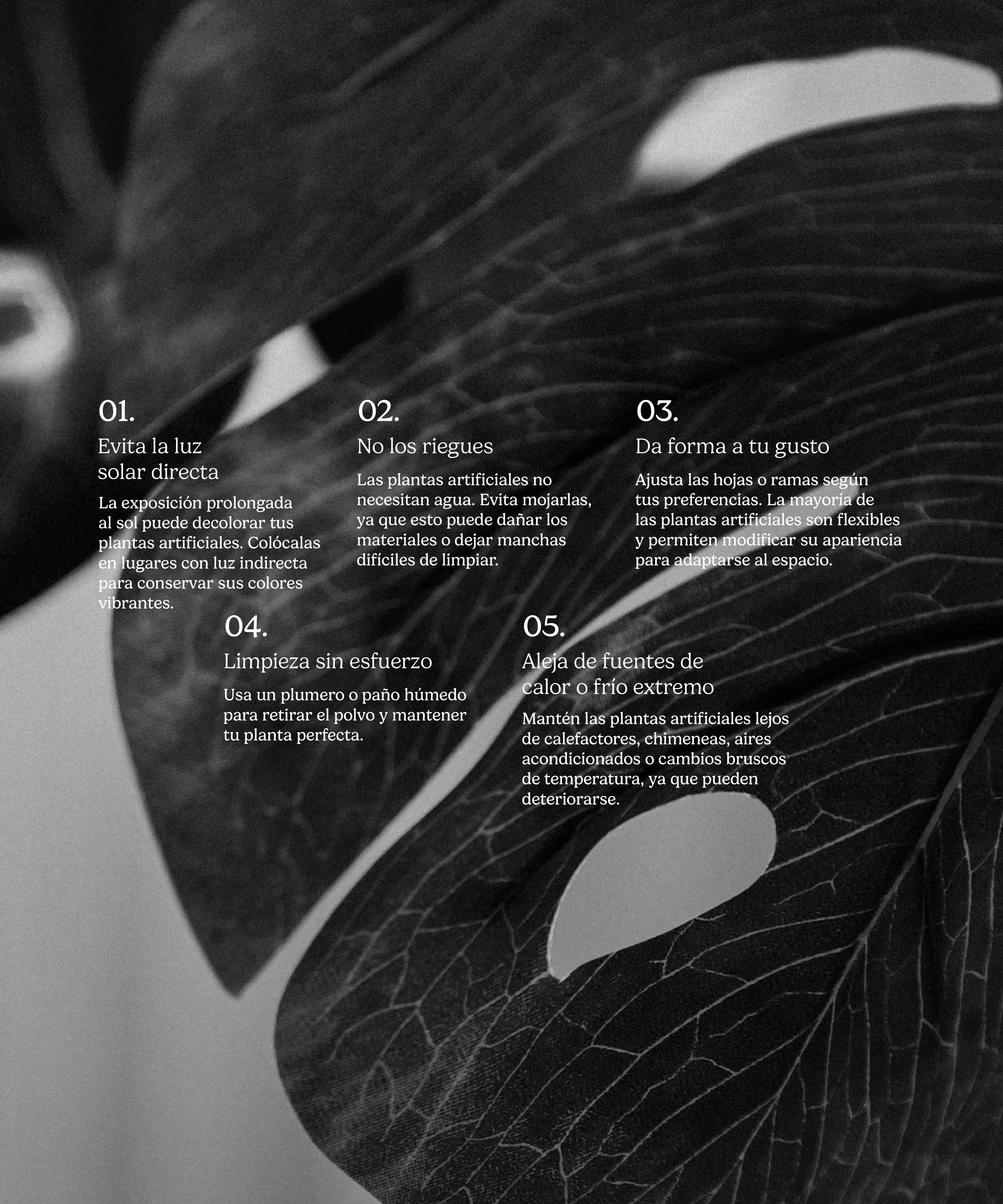 Imagen del producto 7