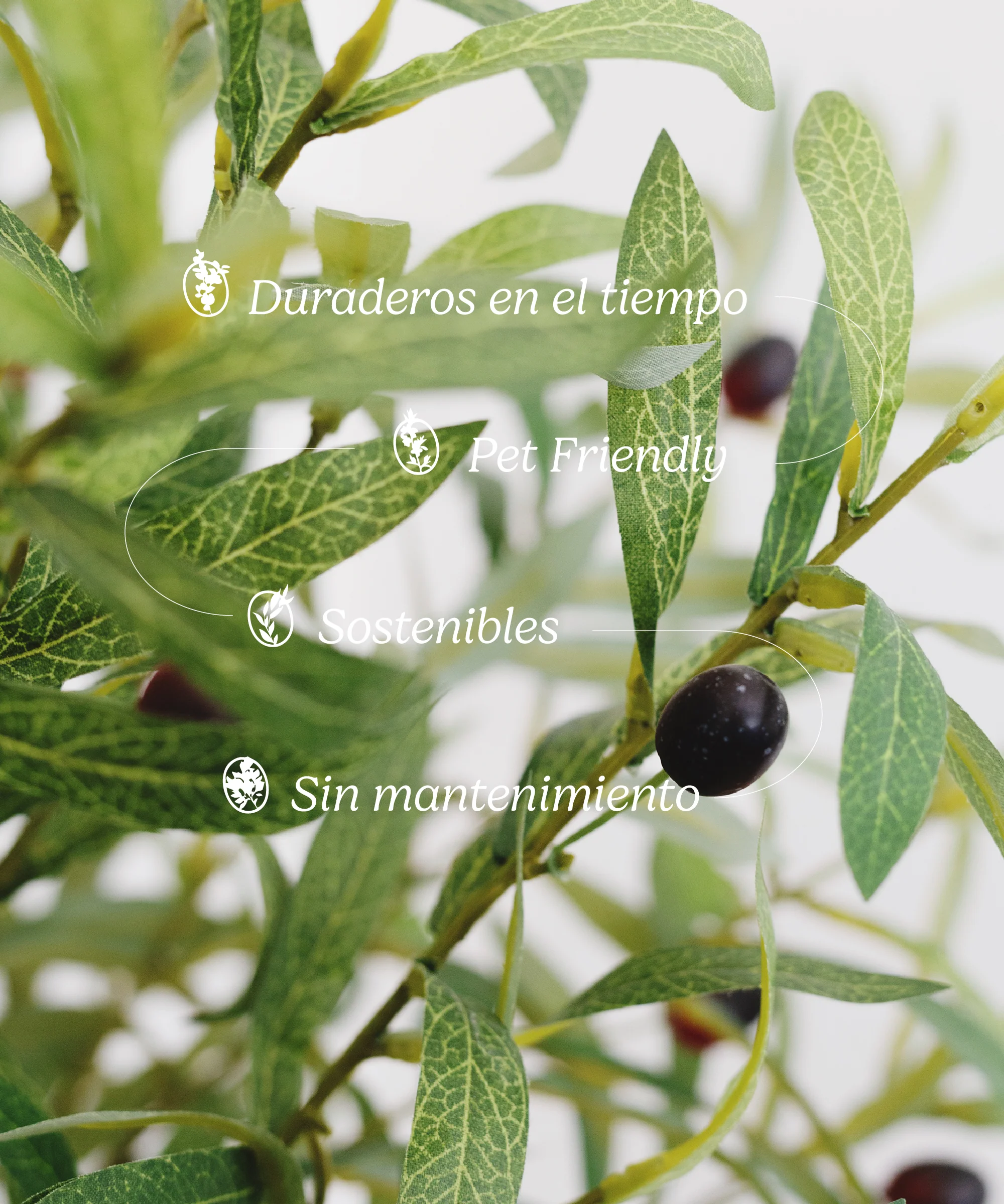 Imagen del producto 10