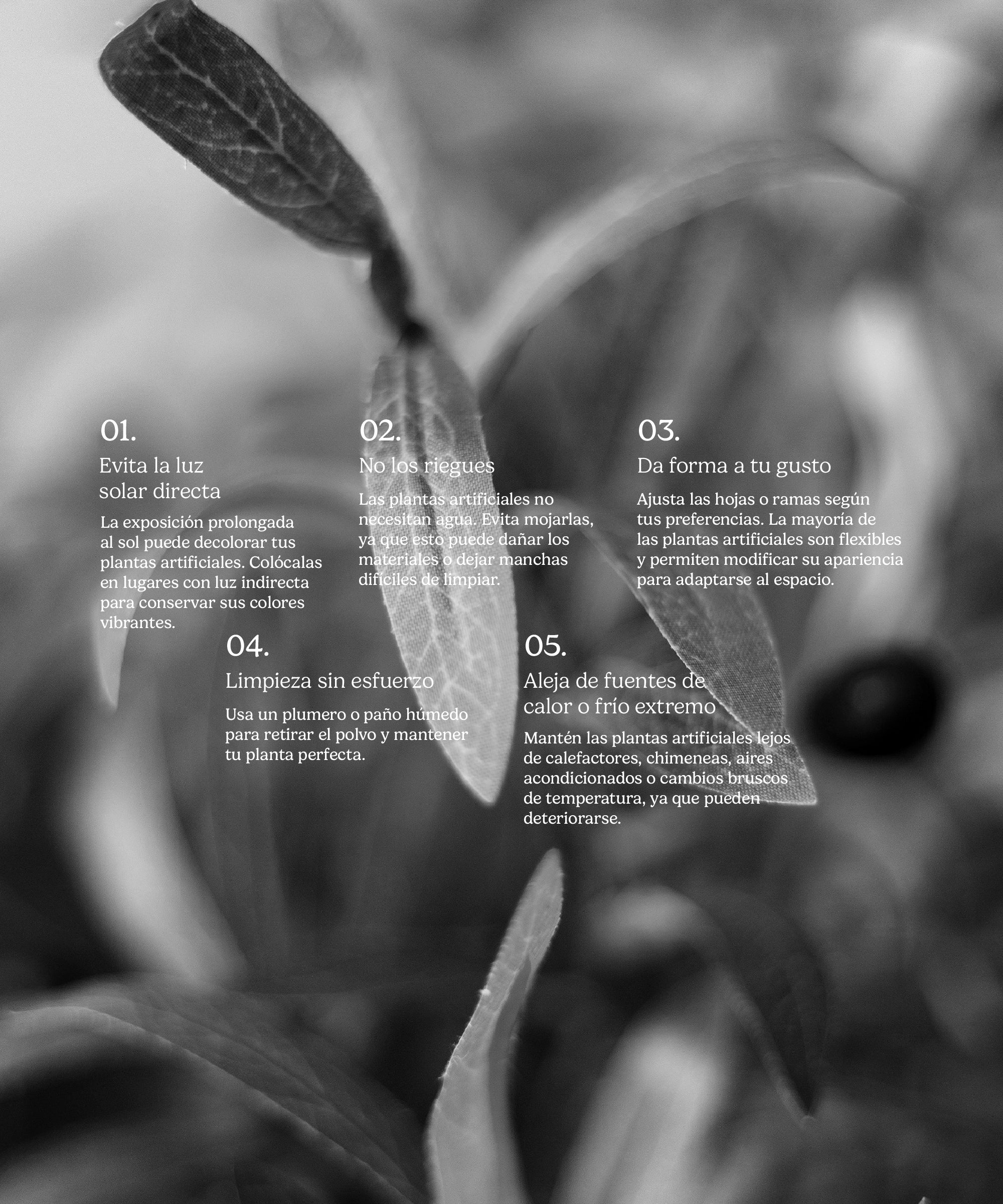 Imagen del producto 11