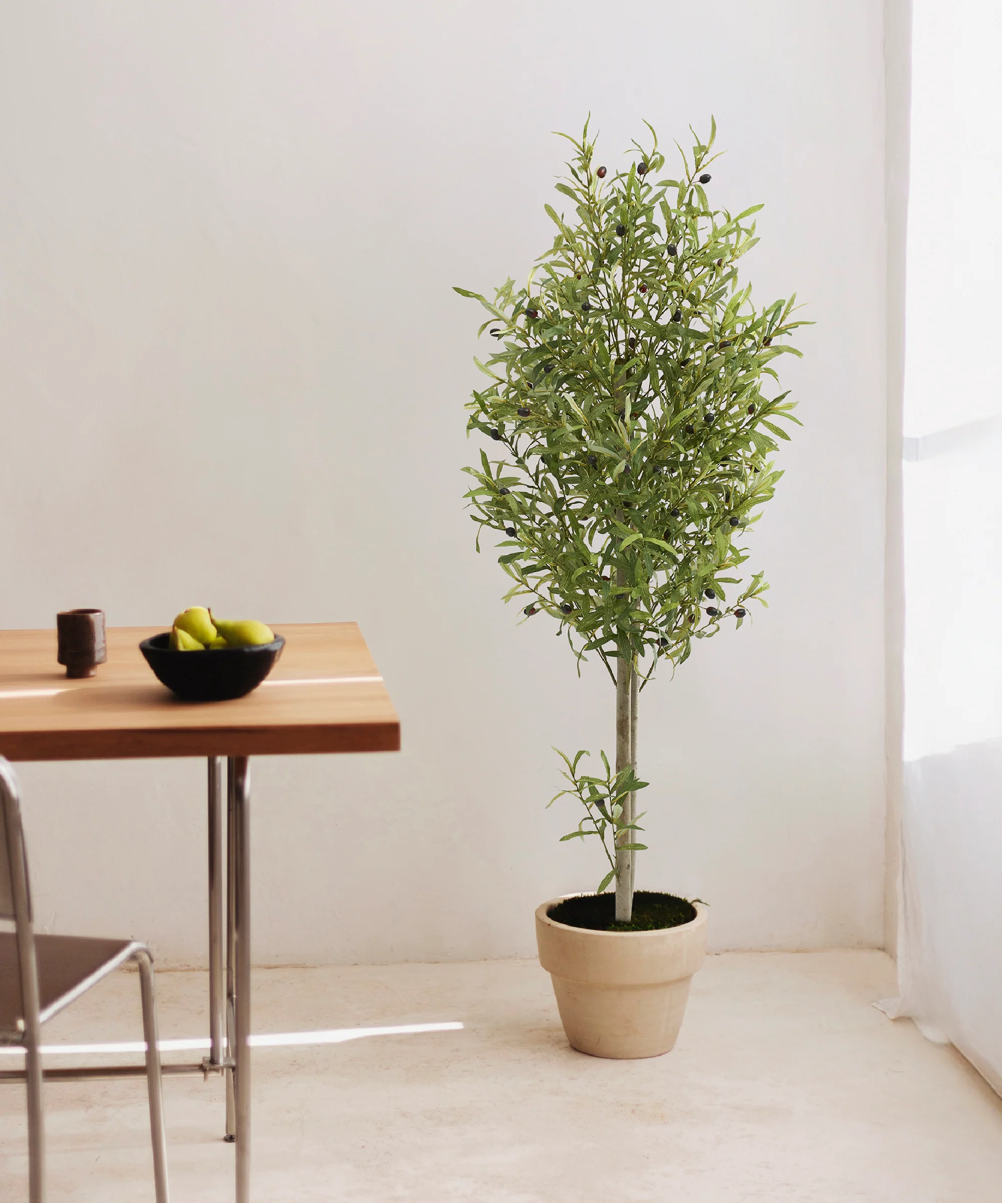 Imagen del producto 4