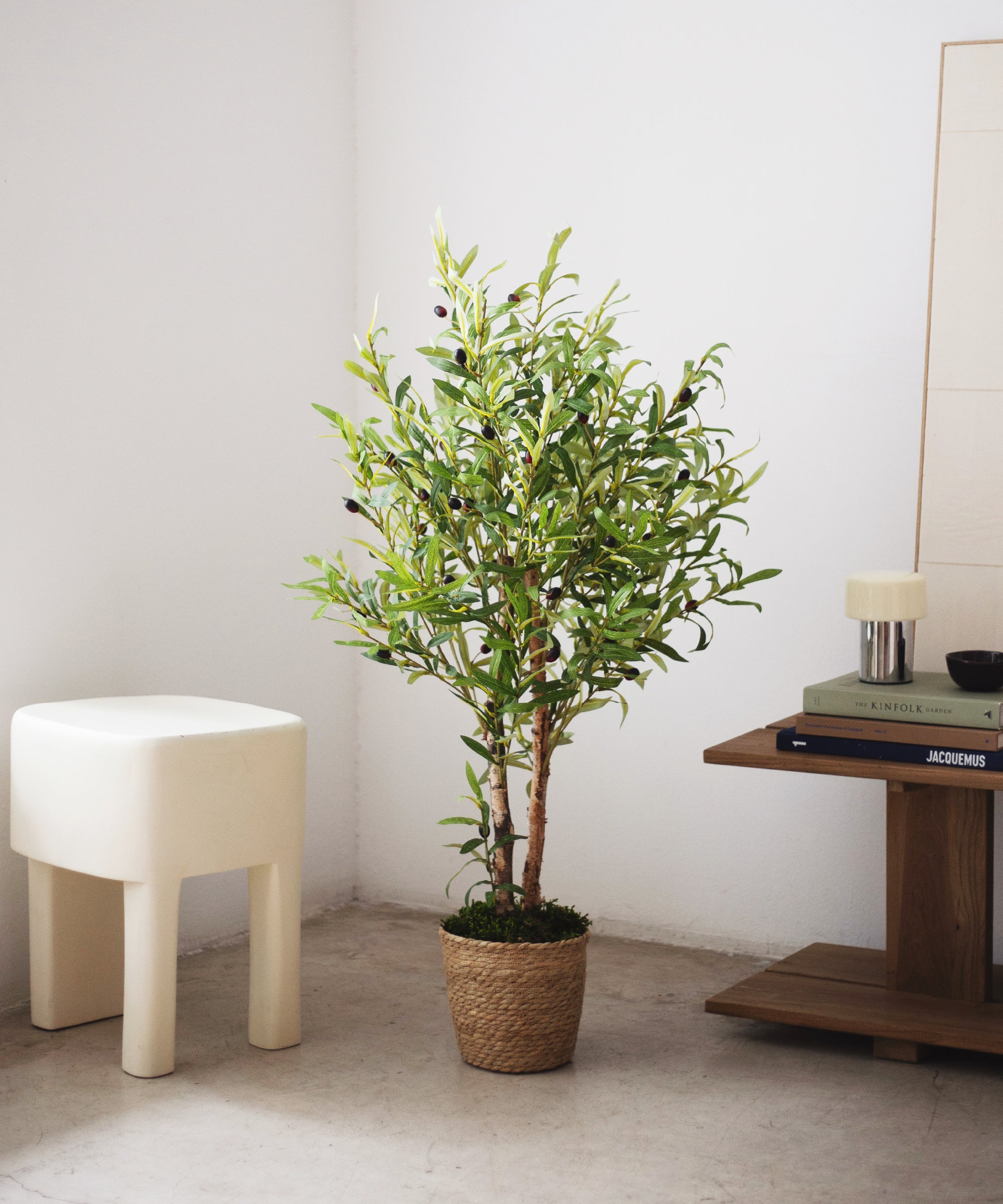 Imagen del producto 5