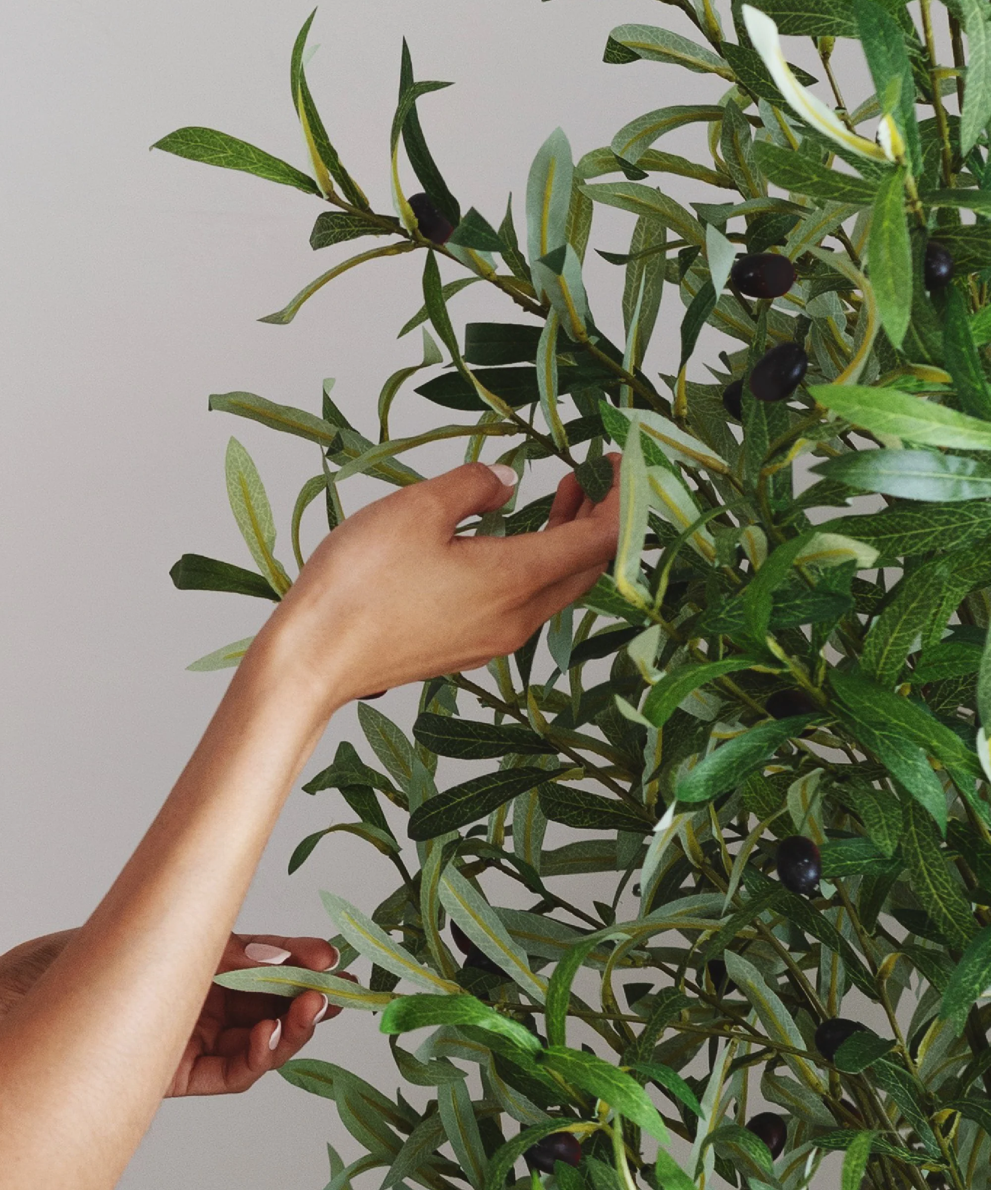 Imagen del producto 7