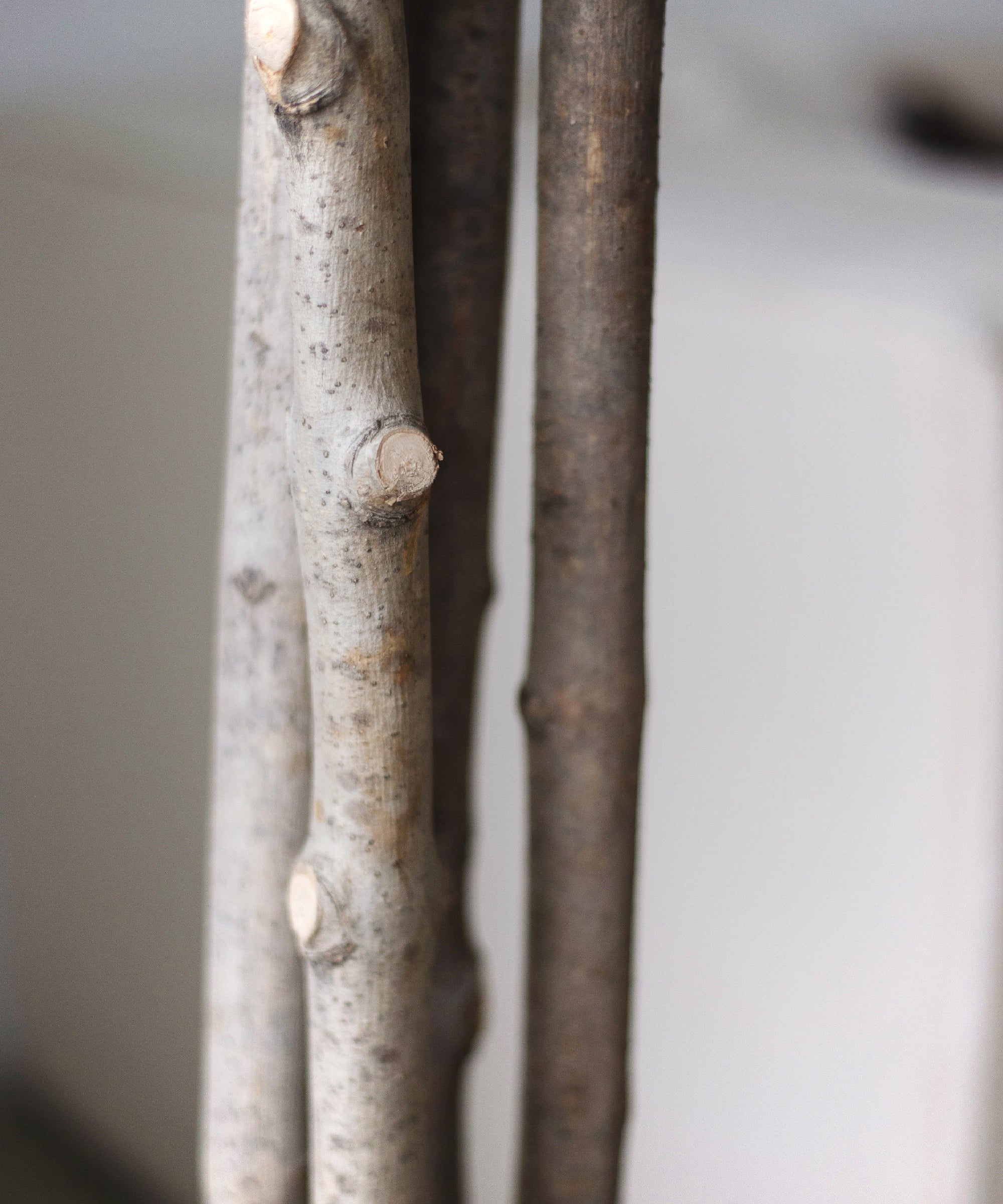 Imagen del producto 8