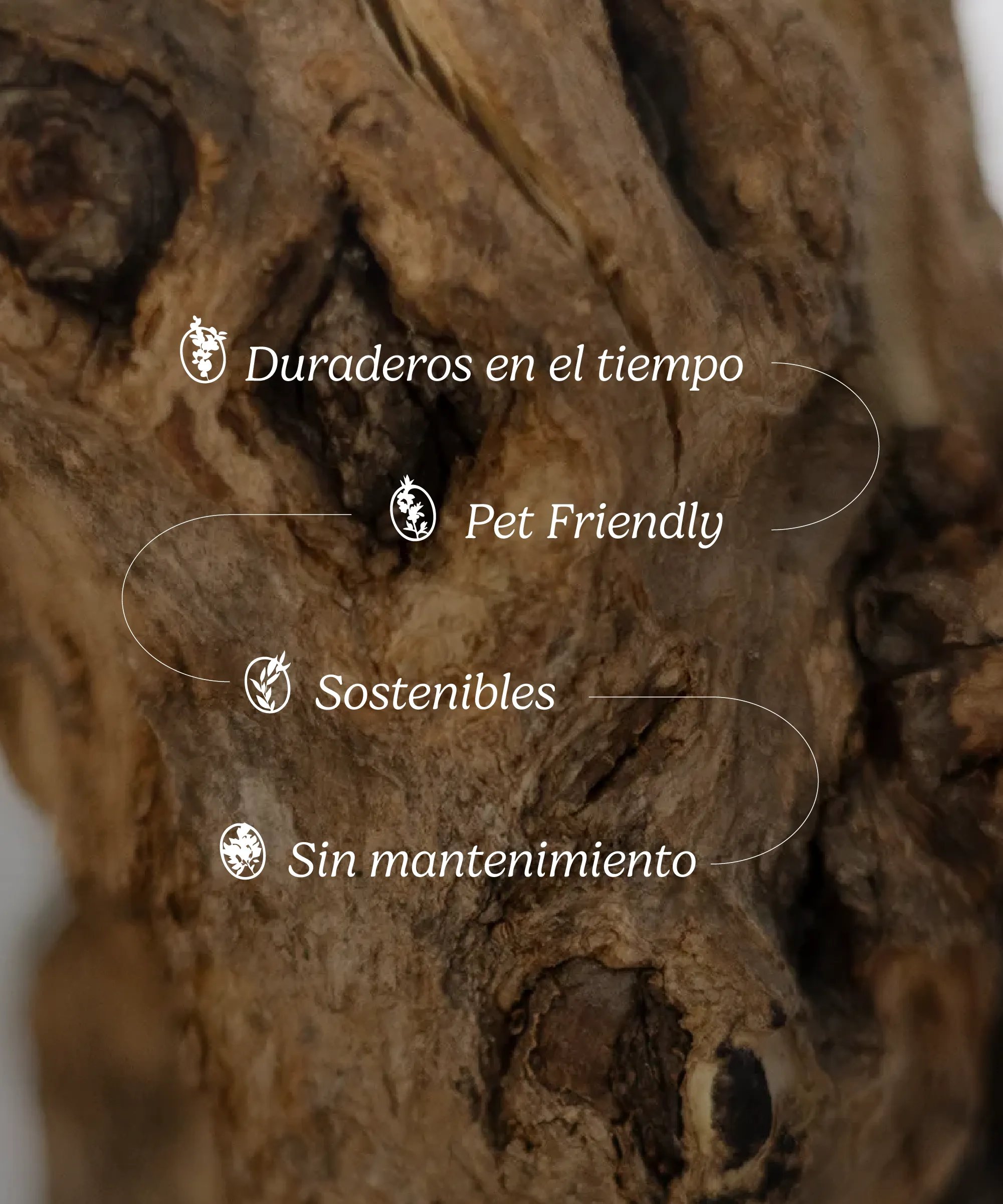 Imagen del producto 10