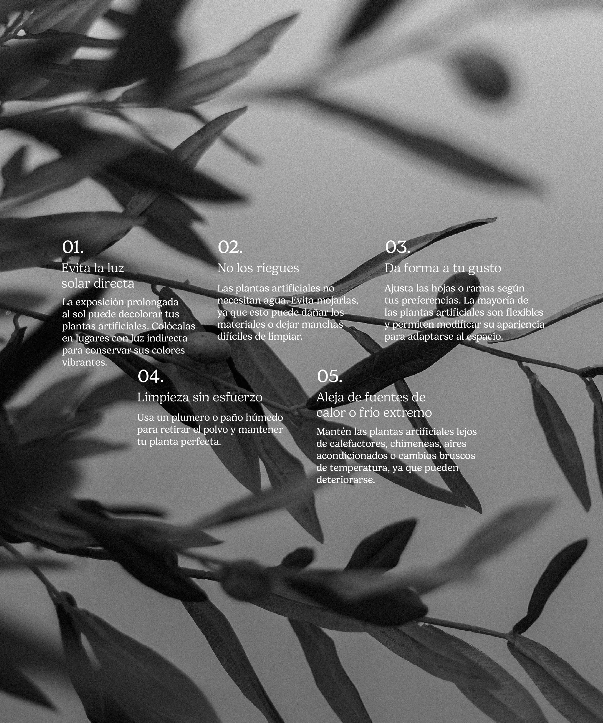 Imagen del producto 11