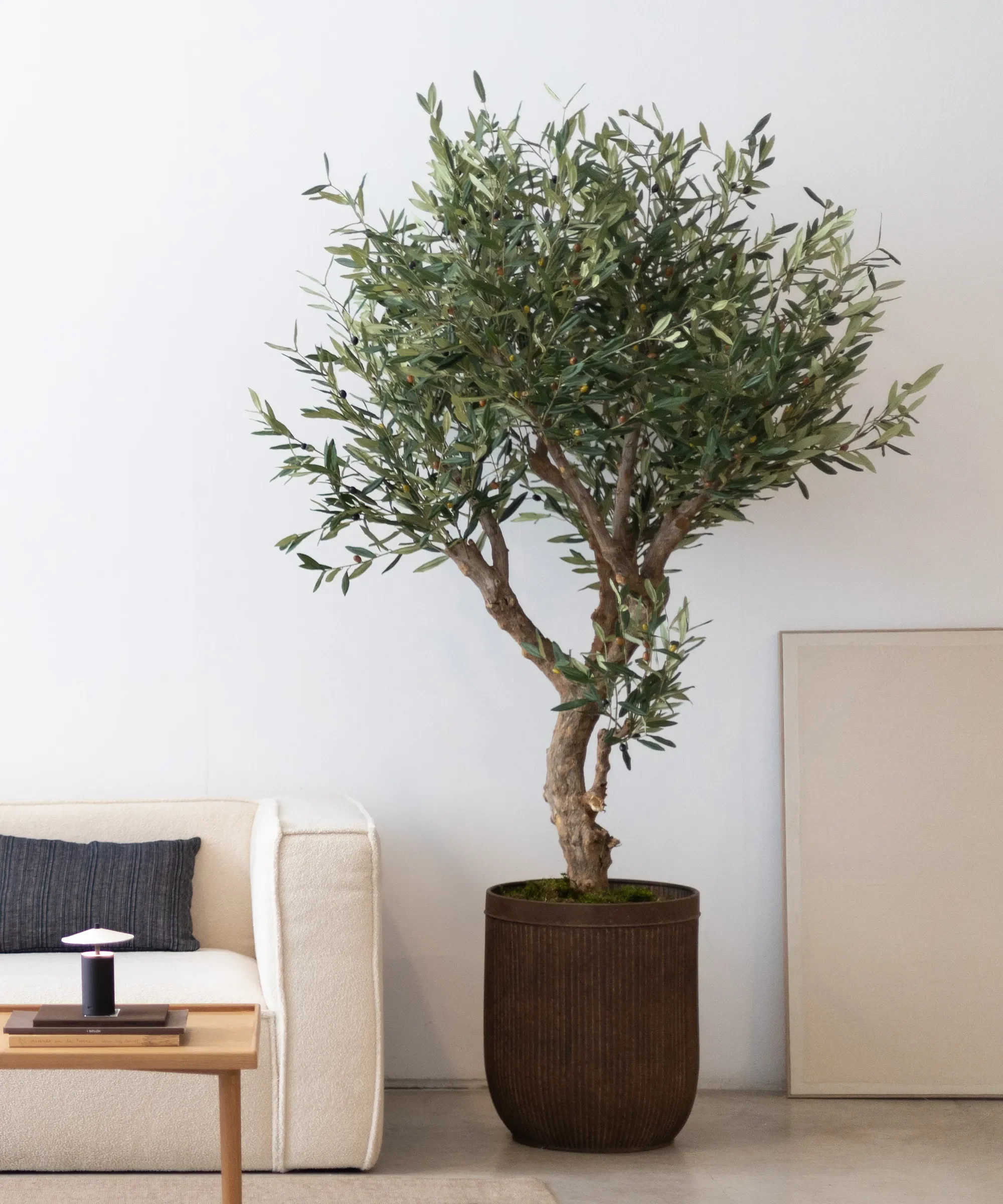 Imagen del producto 4