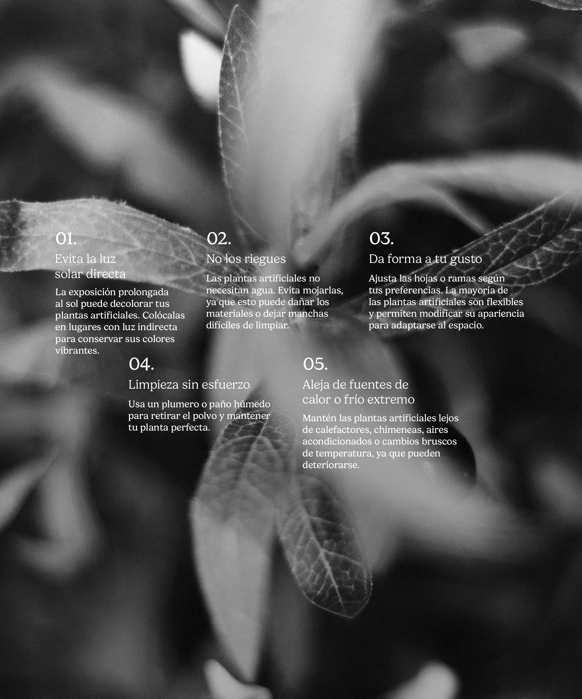 Imagen del producto 10