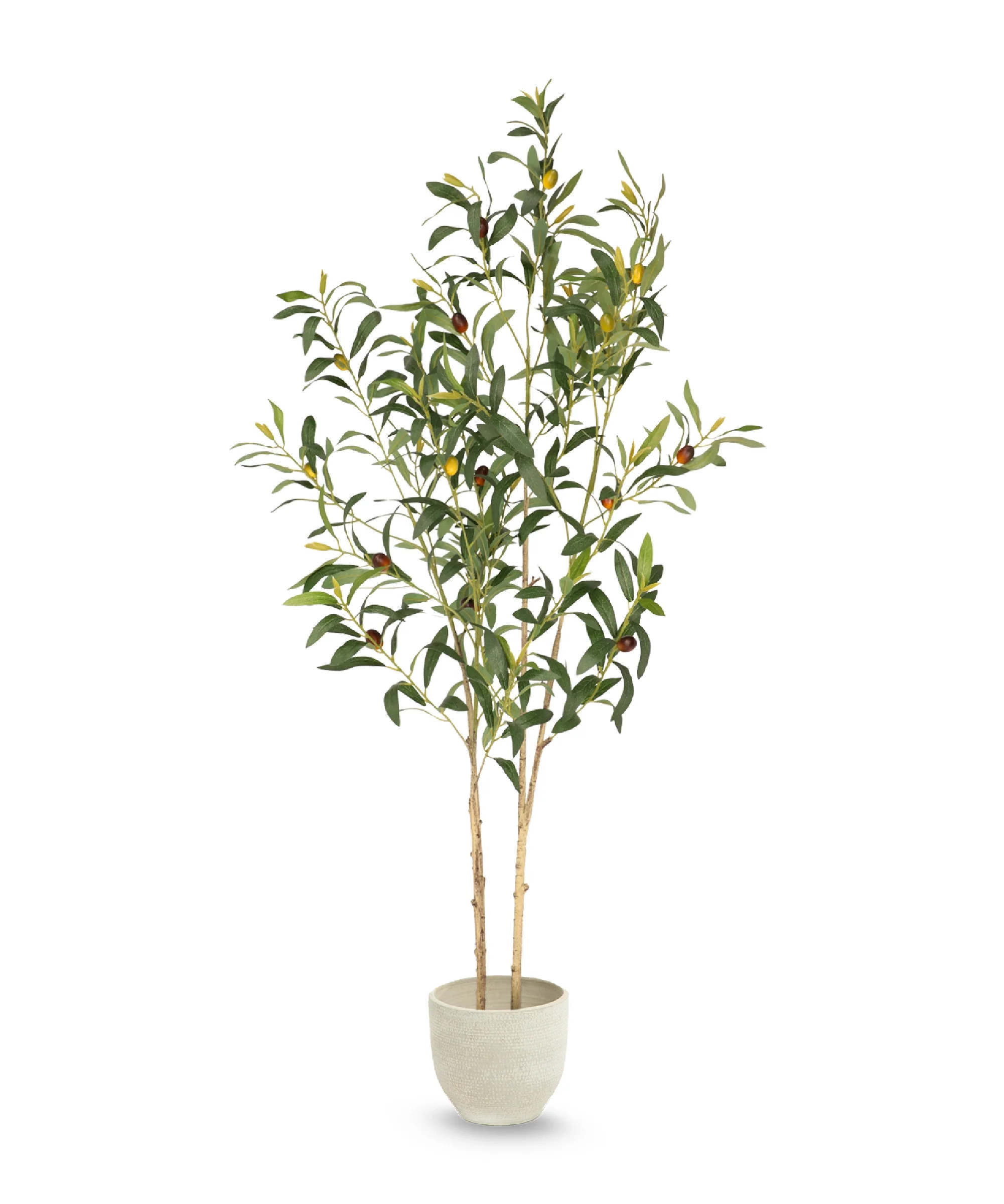 Imagen del producto 6