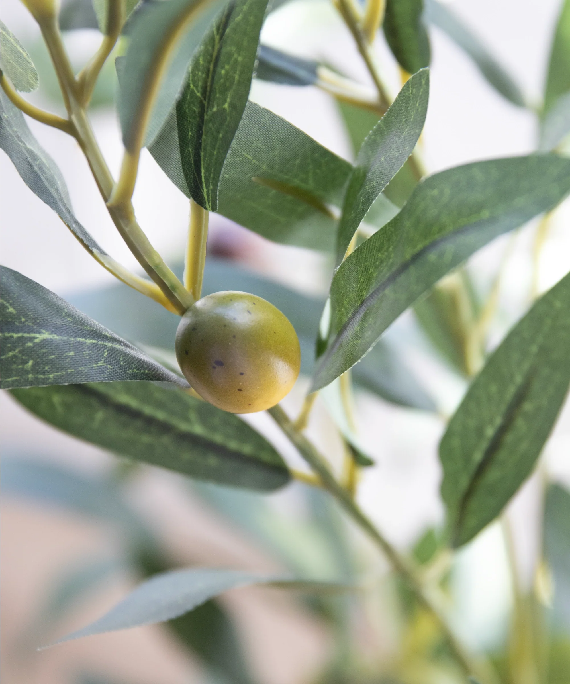 Imagen del producto 7