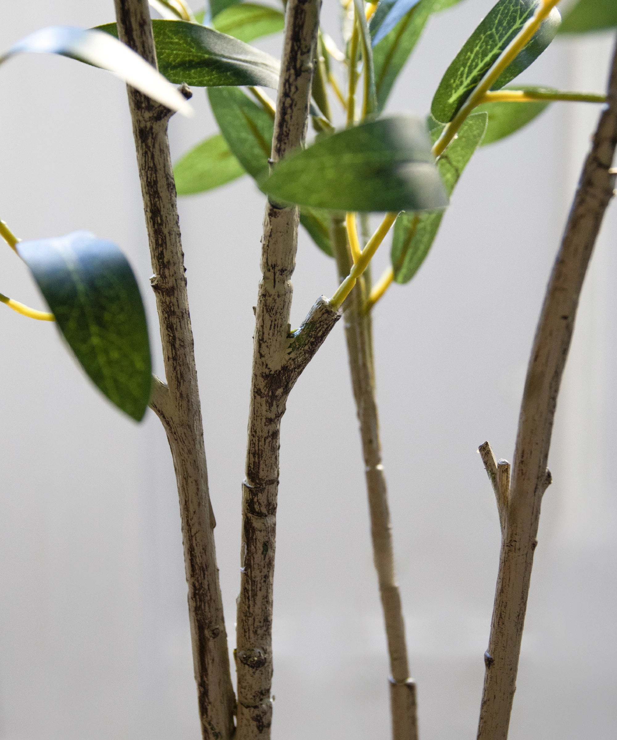 Imagen del producto 8