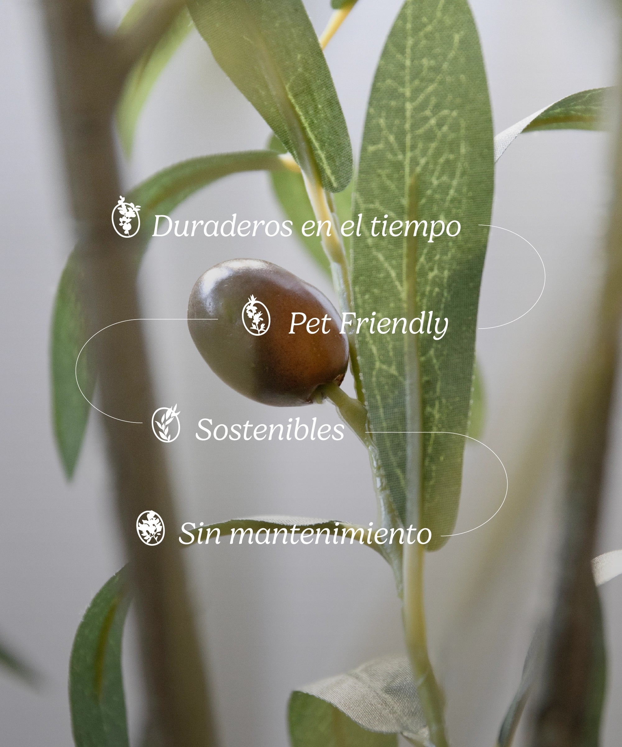 Imagen del producto 9