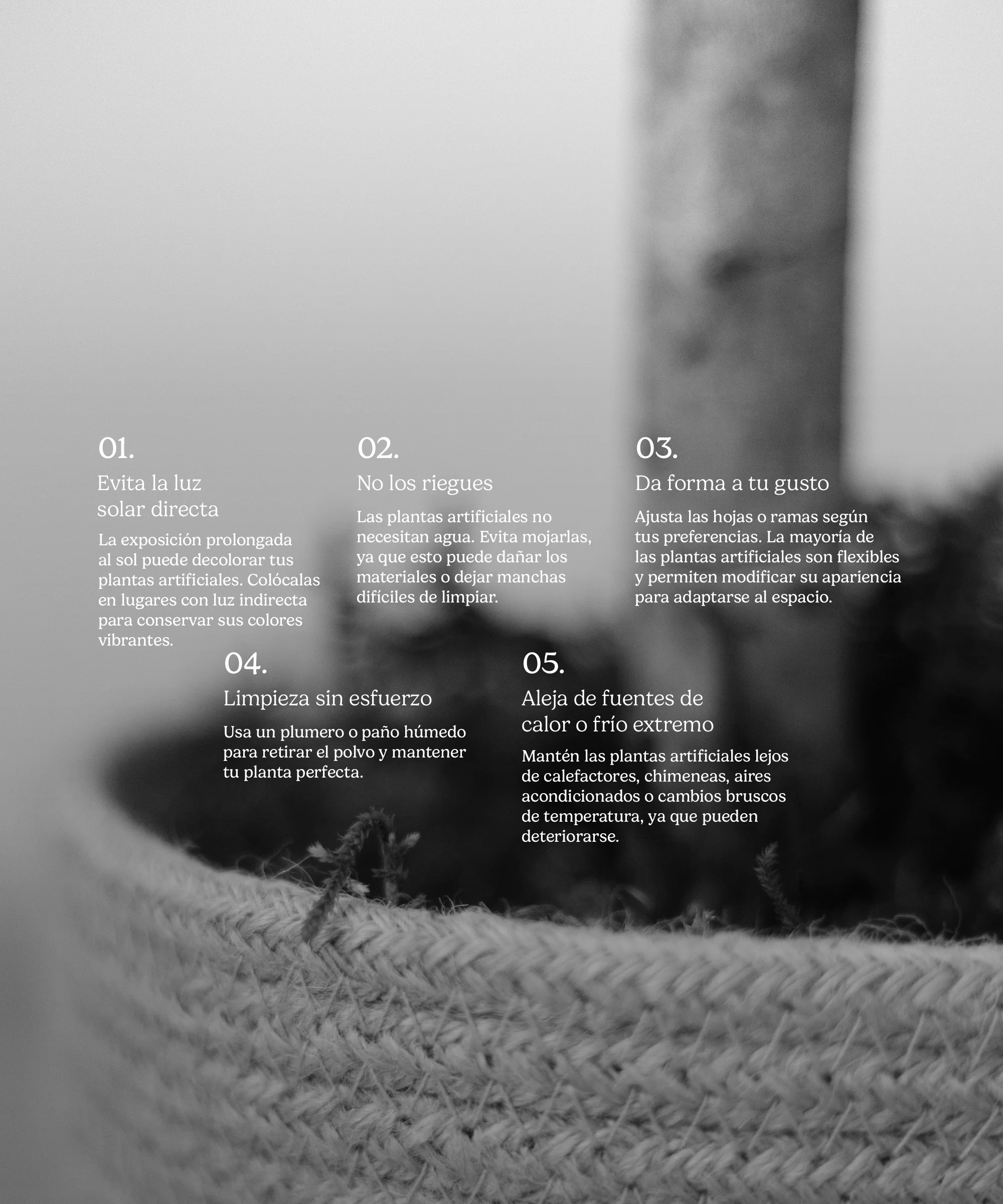 Imagen del producto 10