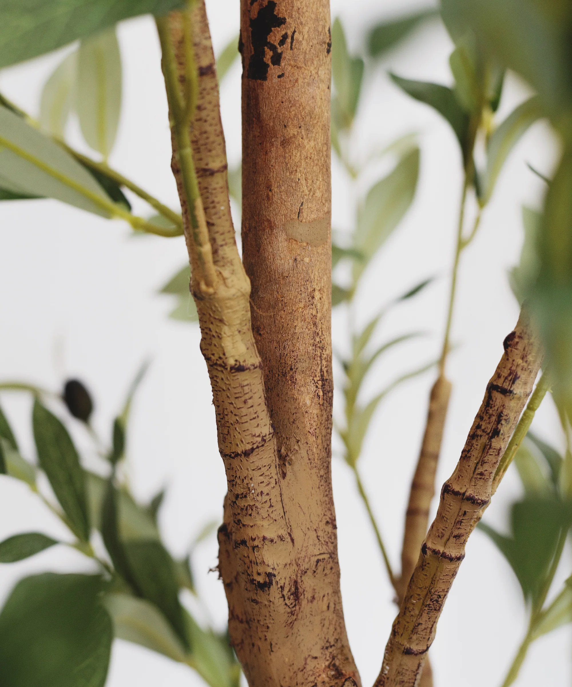 Imagen del producto 8