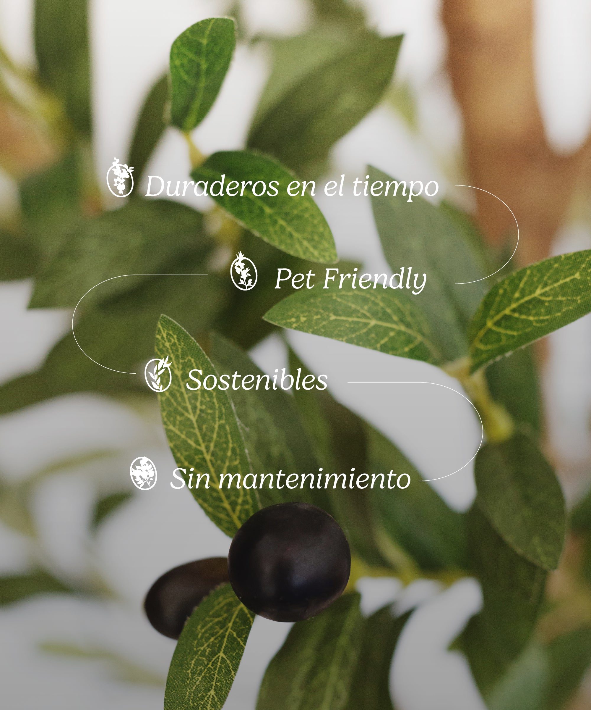 Imagen del producto 9