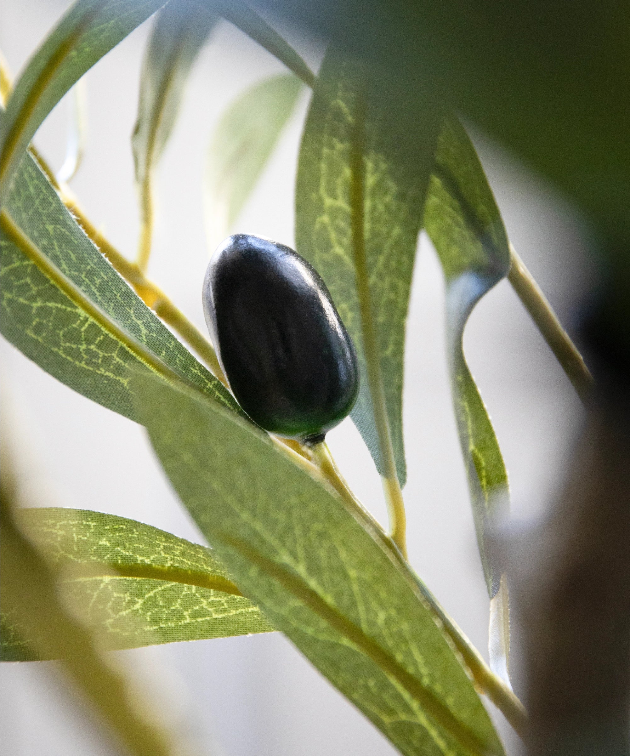 Imagen del producto 7