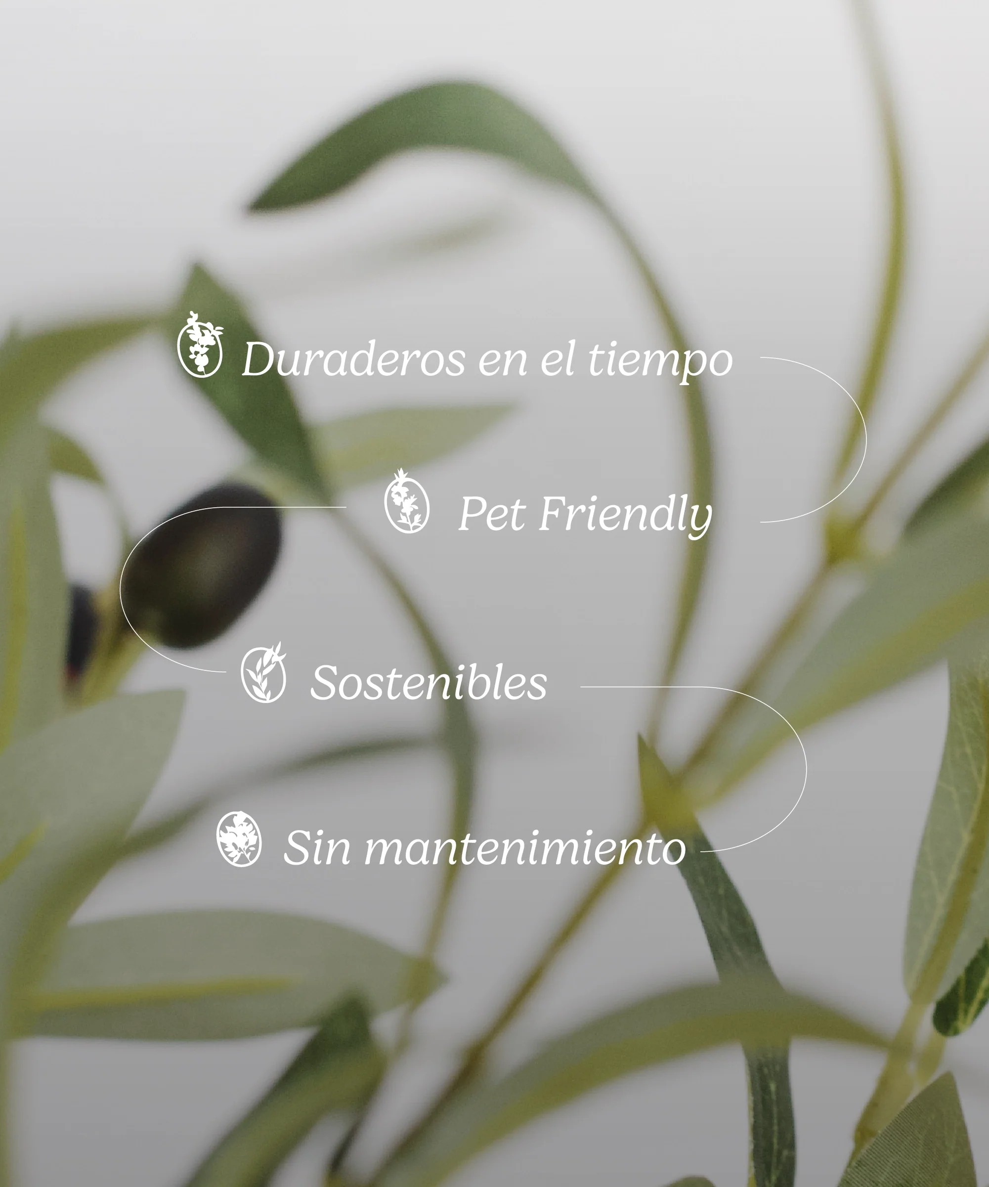 Imagen del producto 9