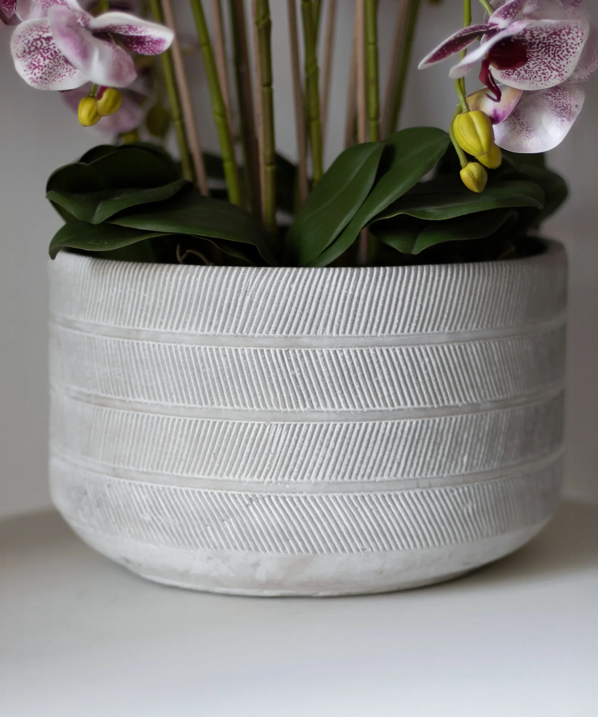 Imagen del producto 11