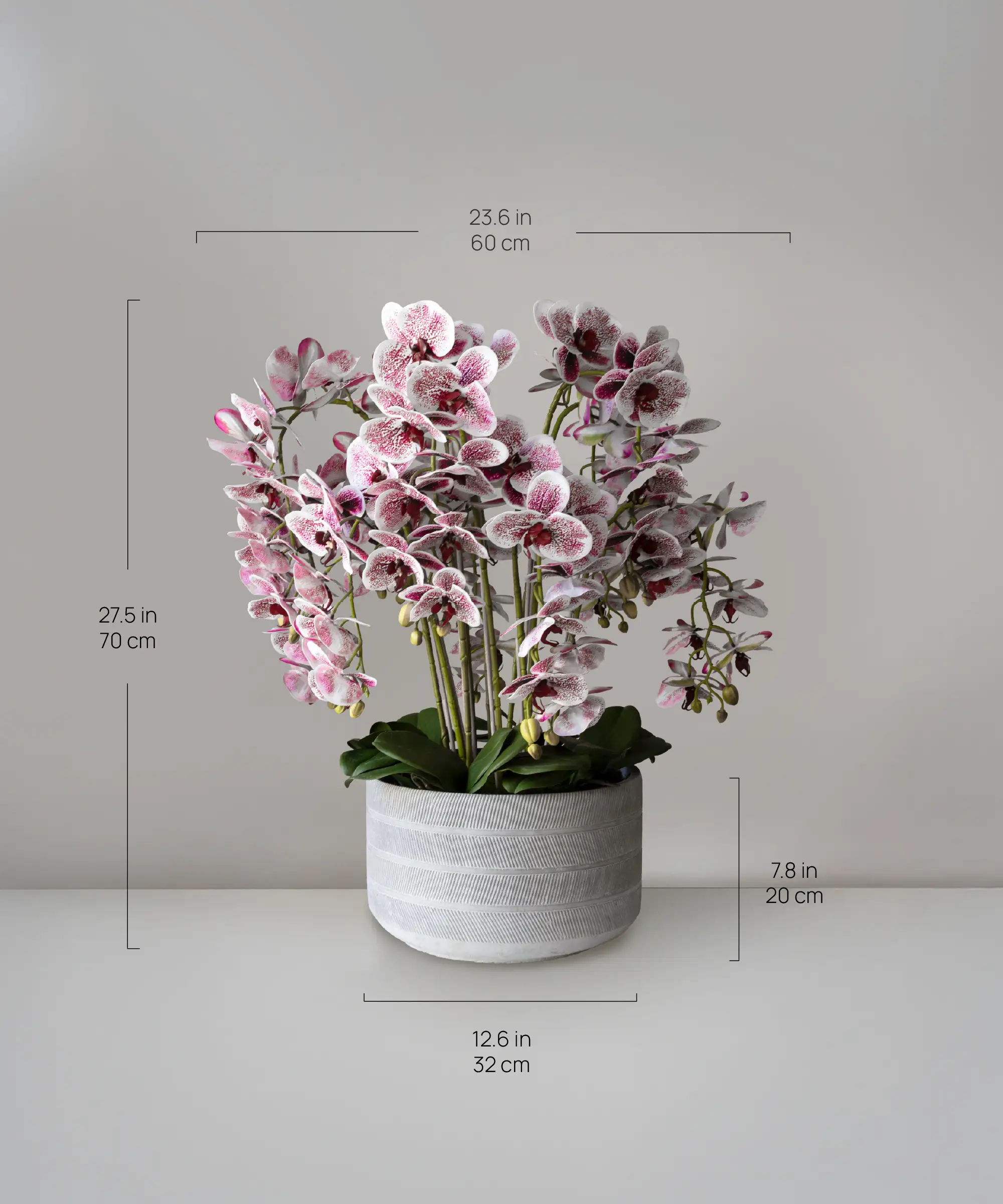 Imagen del producto 9