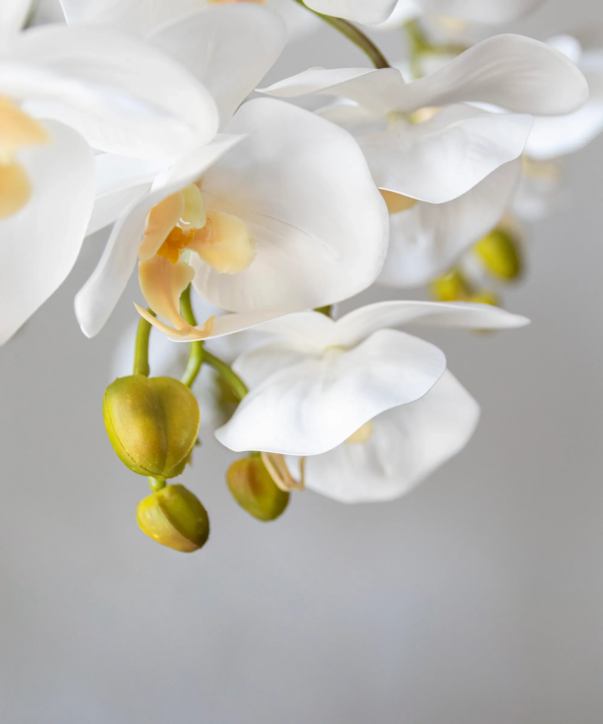 Imagen del producto 10