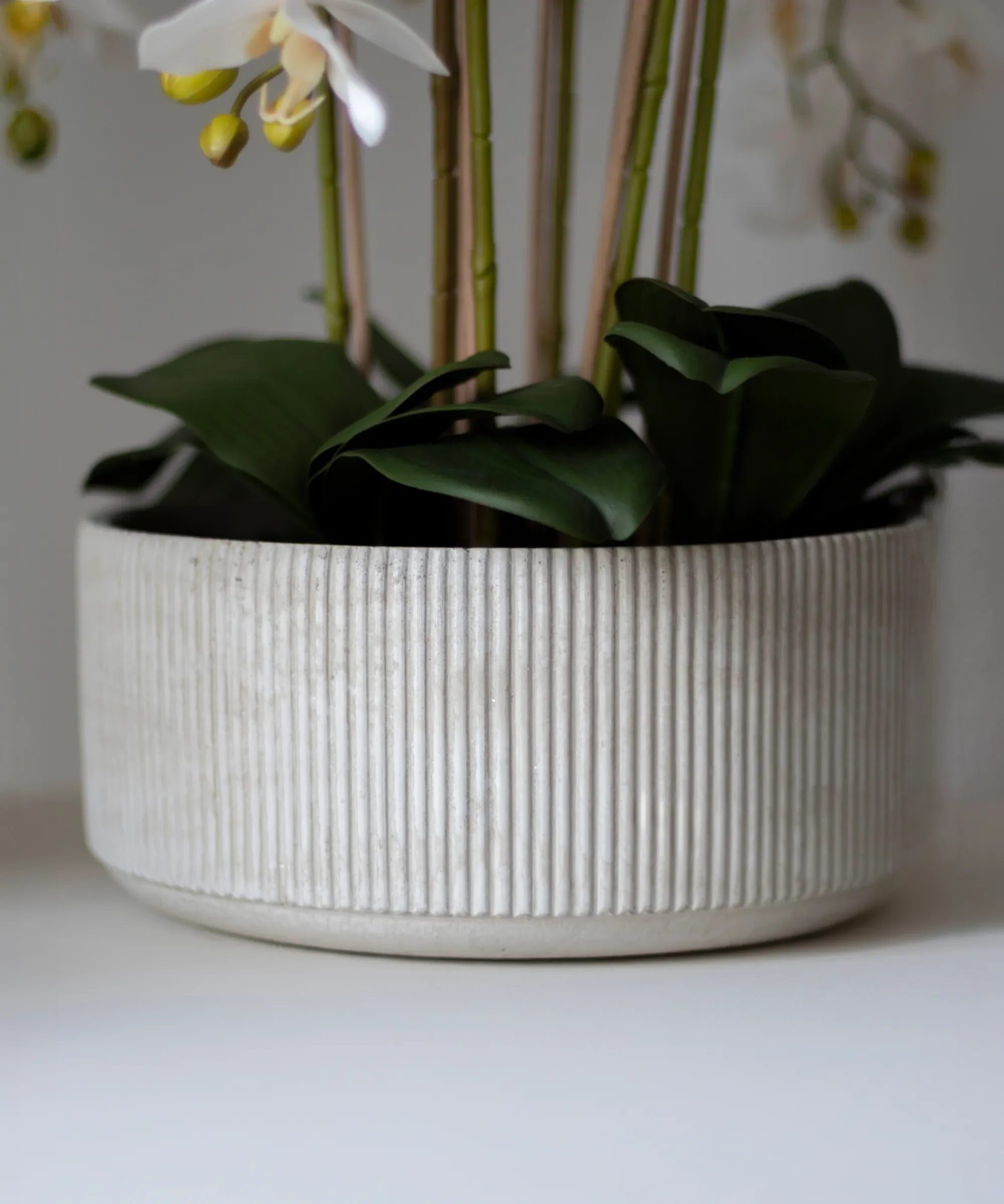 Imagen del producto 13