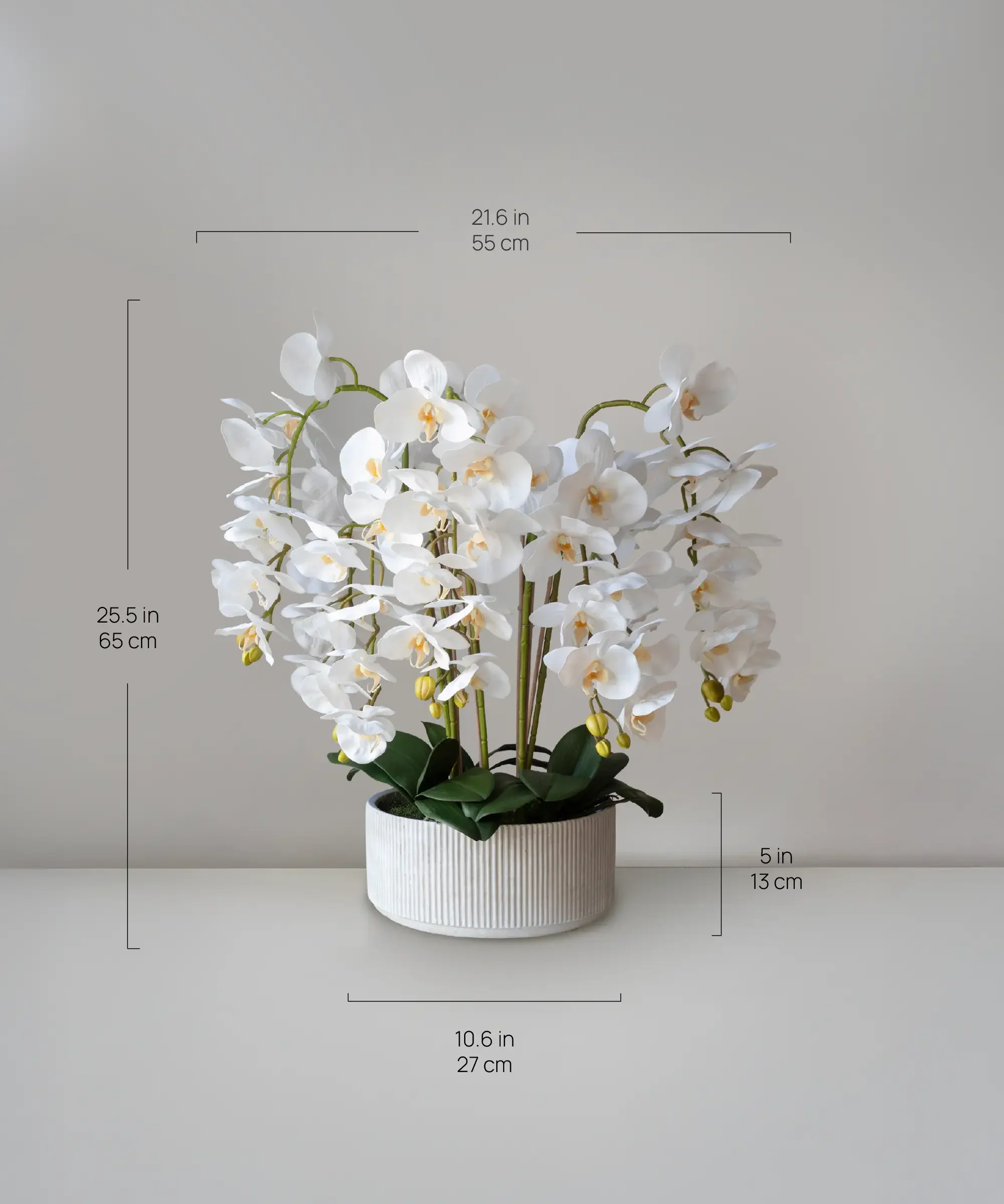 Imagen del producto 9