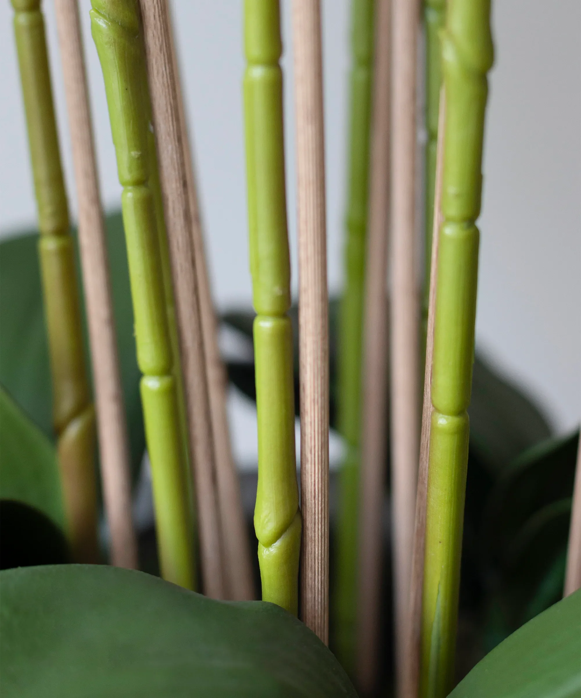 Imagen del producto 12