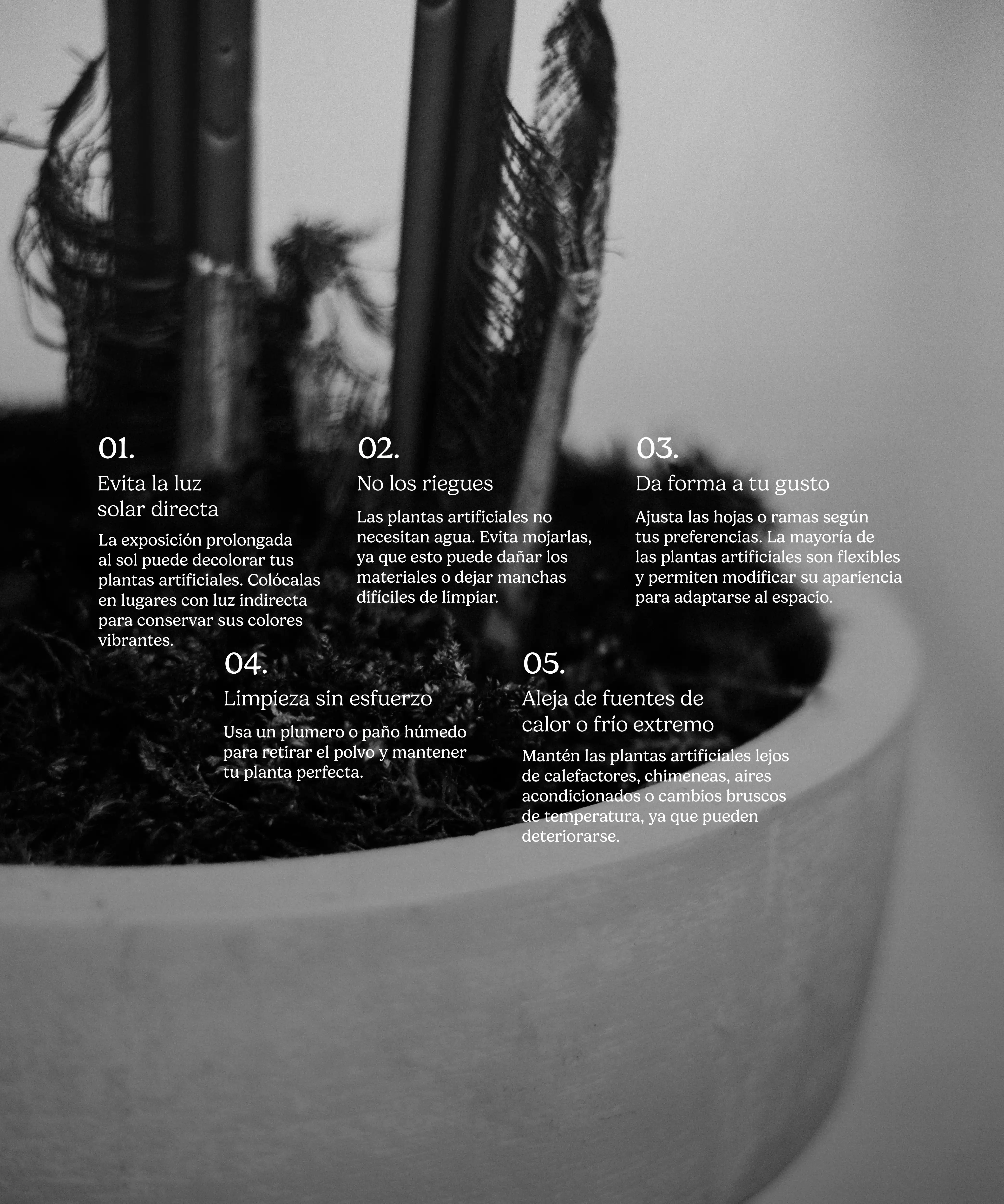 Imagen del producto 8