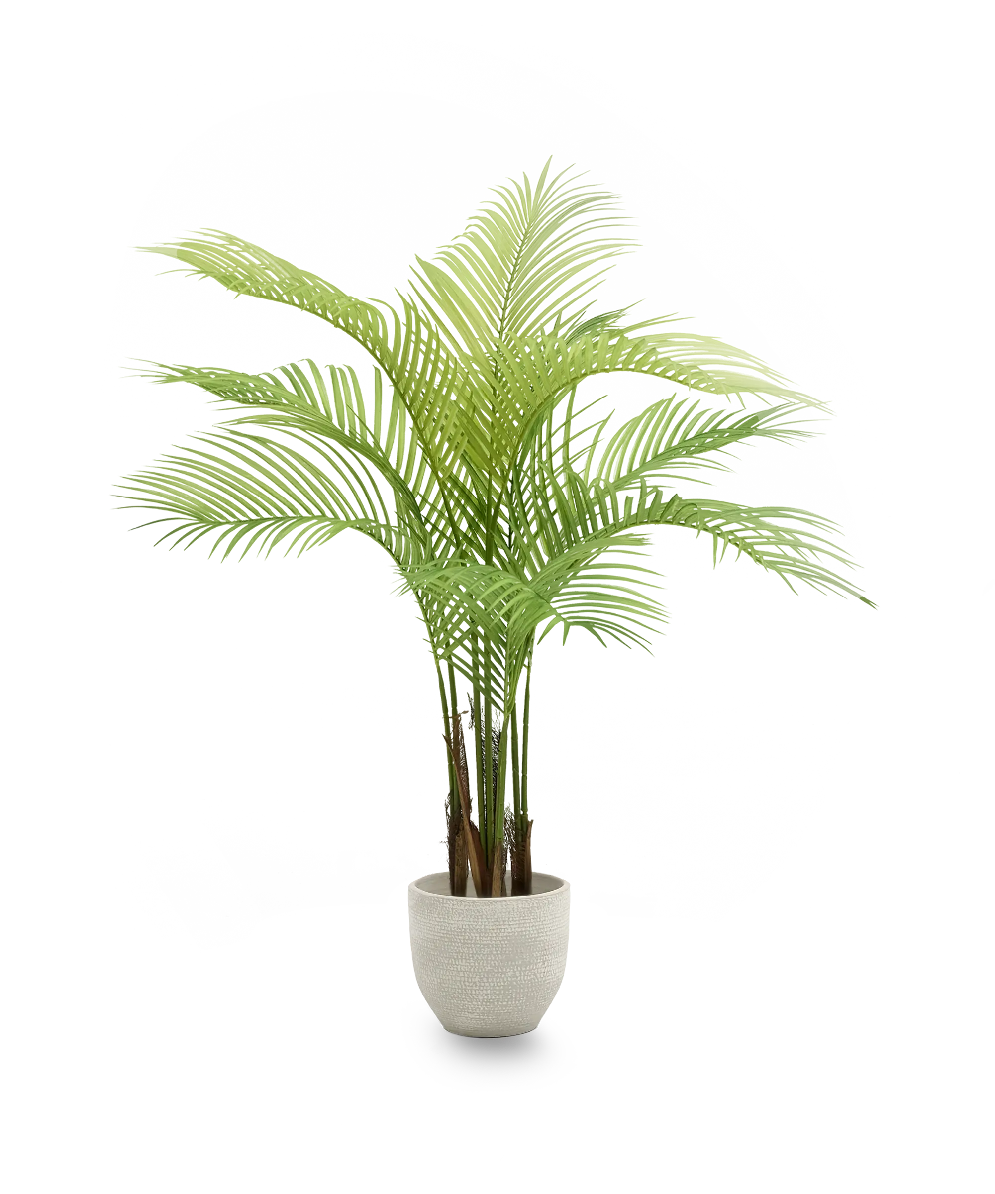 Imagen del producto 9