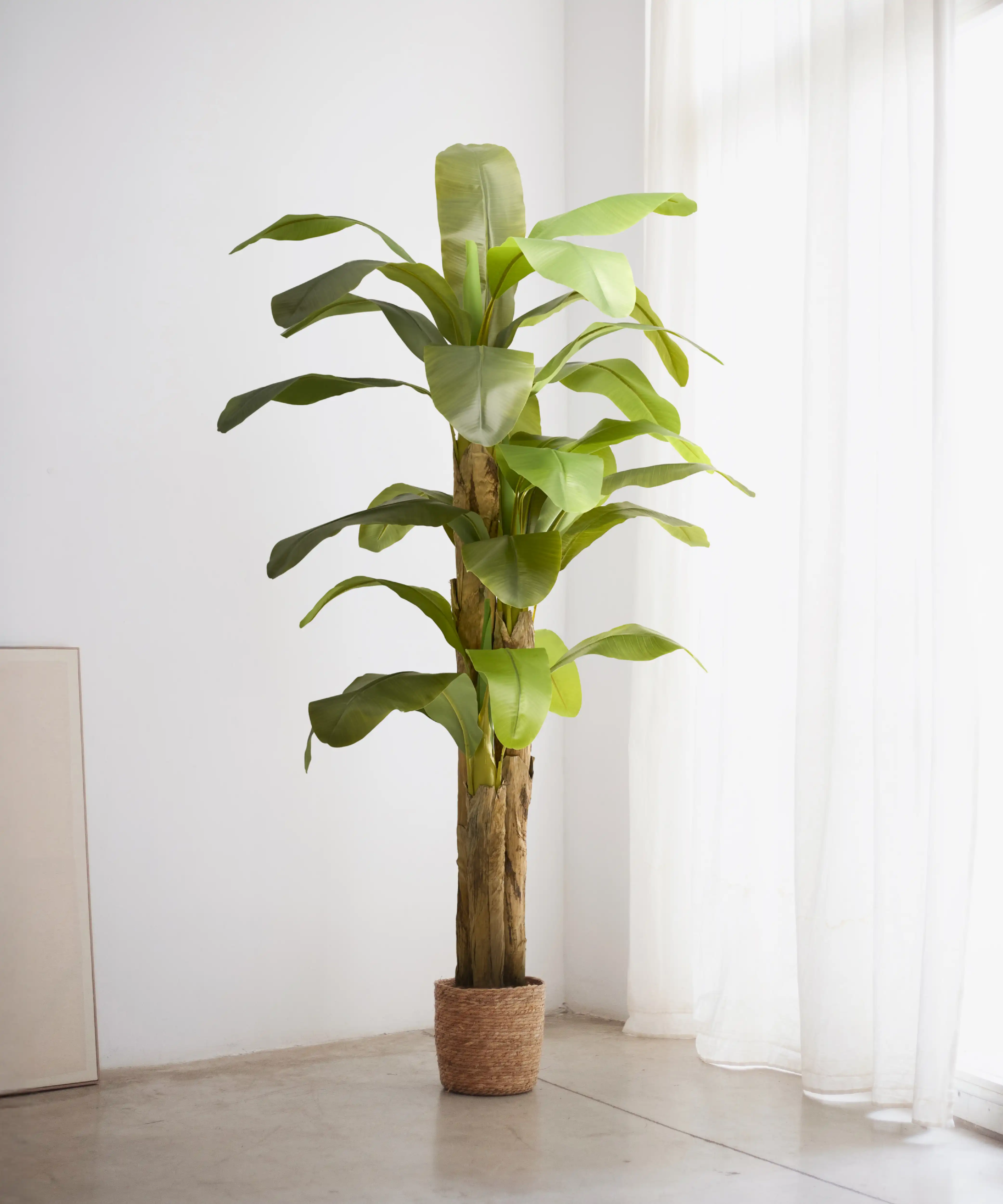 Plantas Artificiales de Hojas Grandes