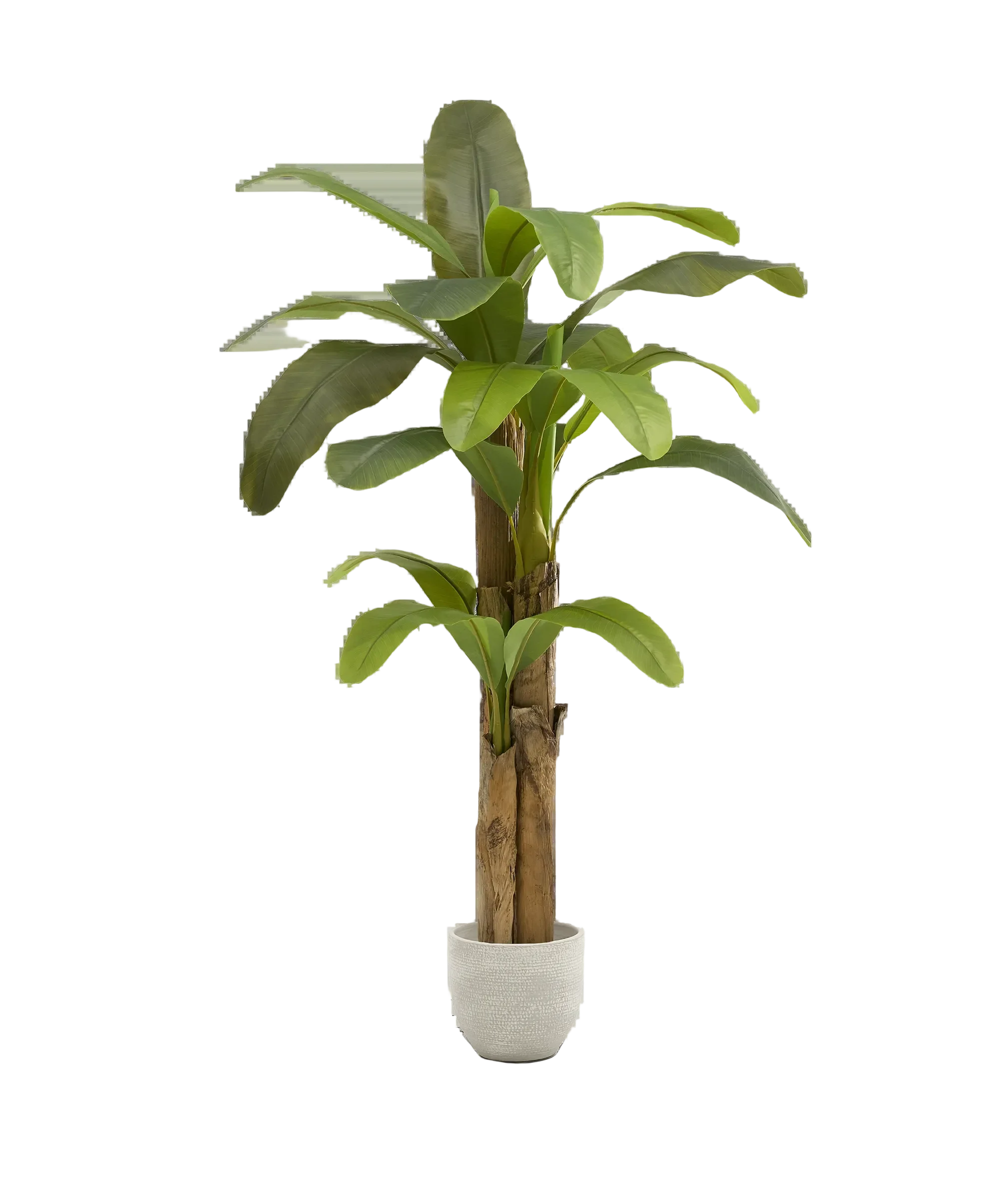 Imagen del producto 10