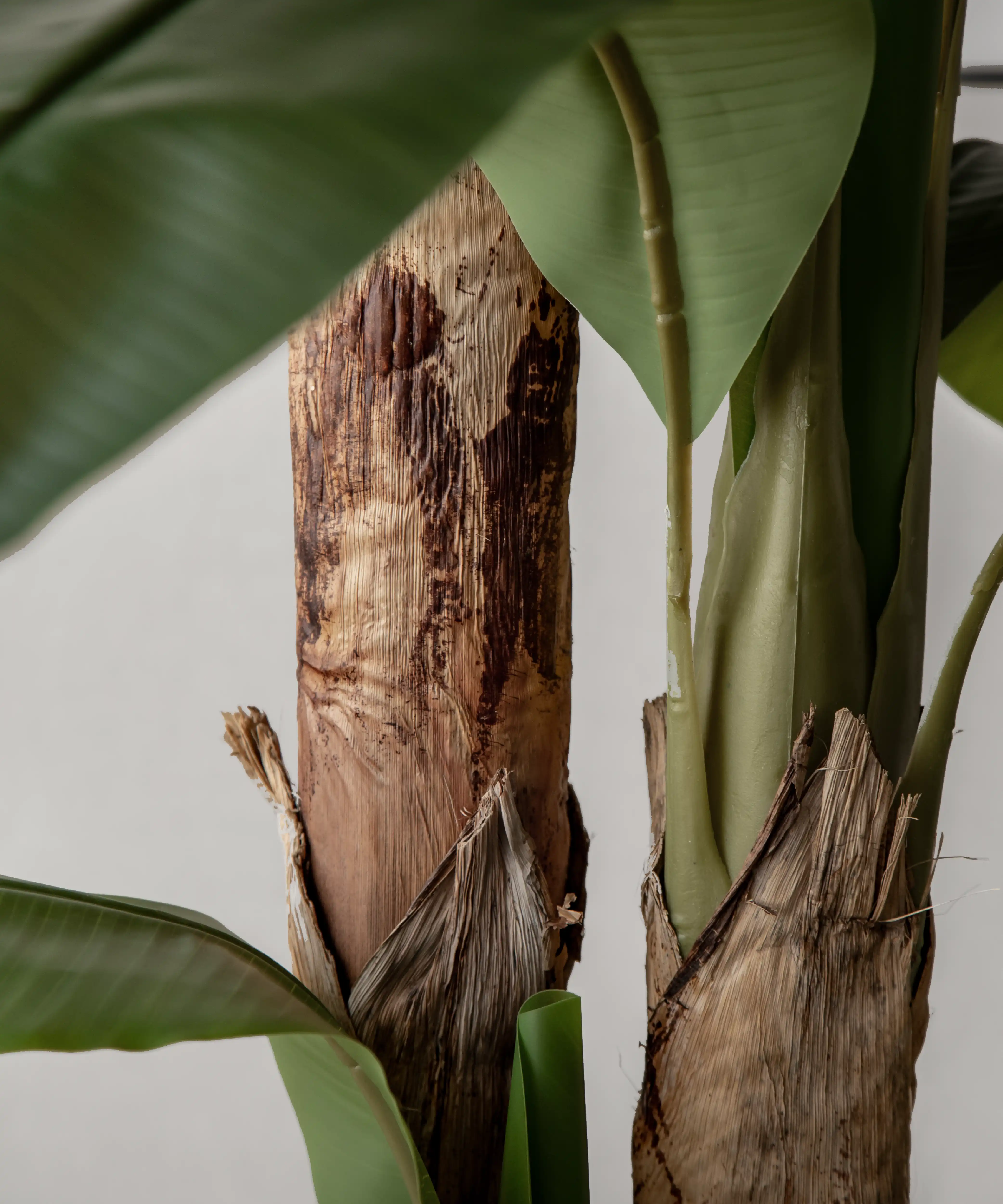 Imagen del producto 11