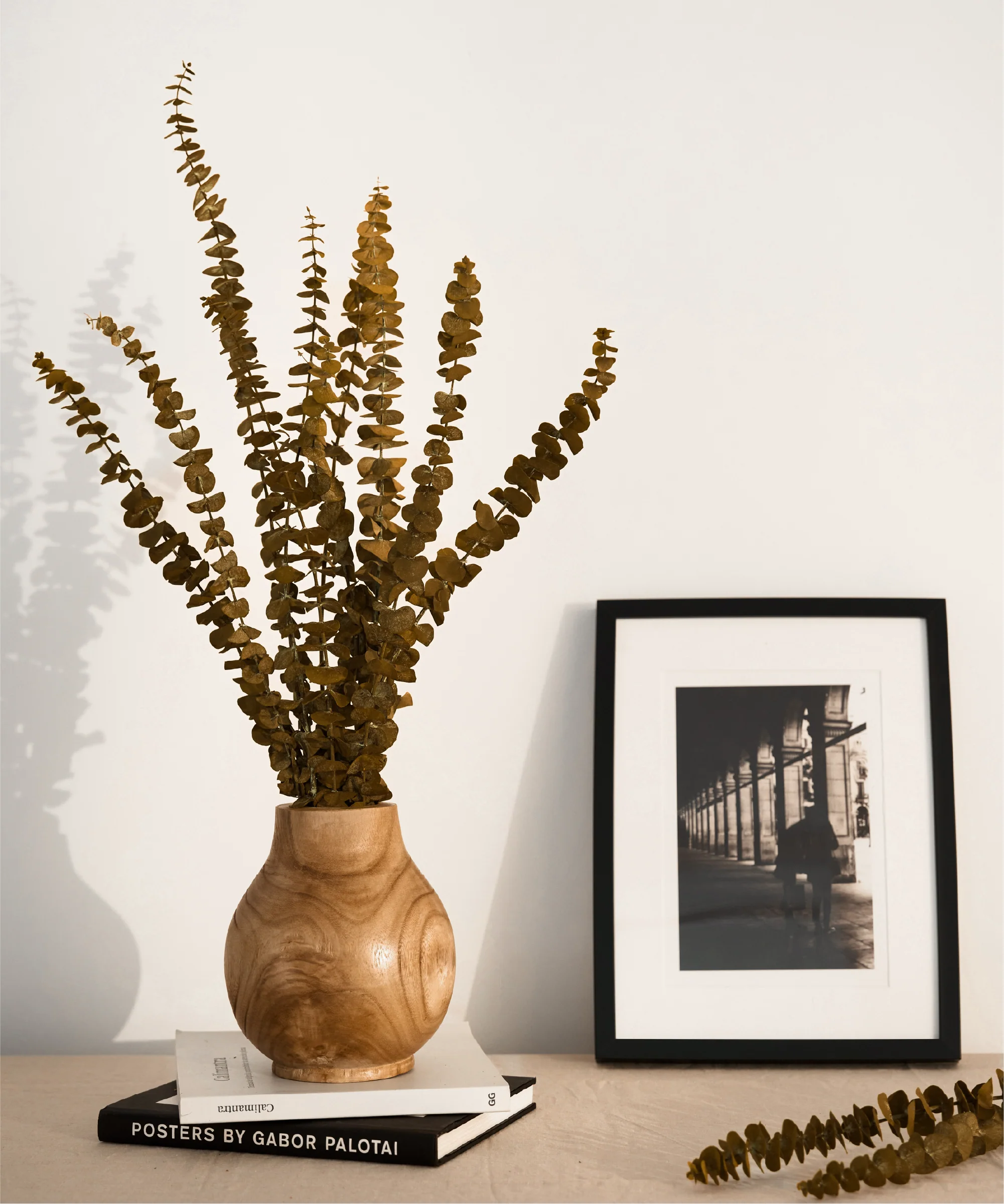 Imagen del producto 7