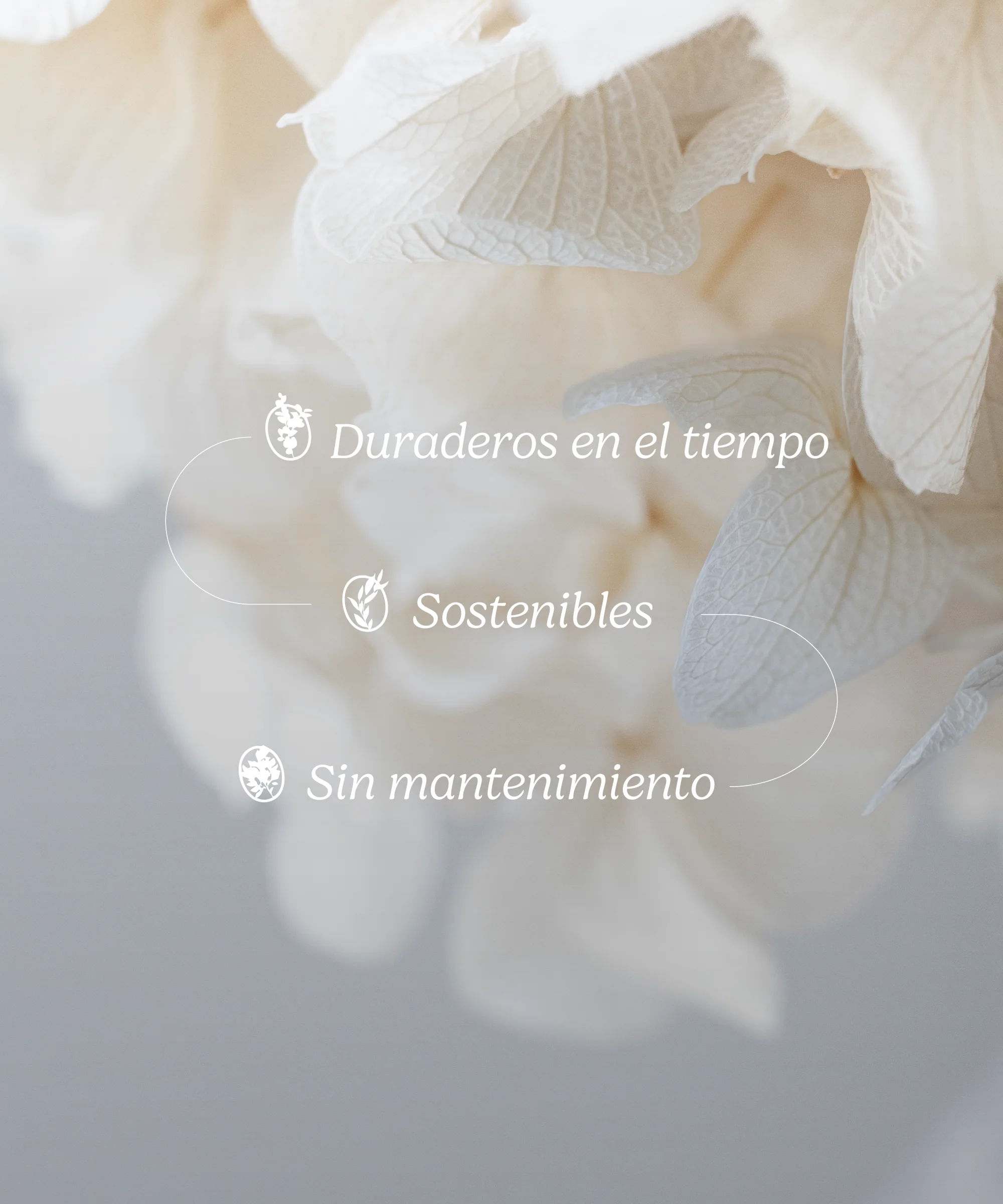 Imagen del producto 10