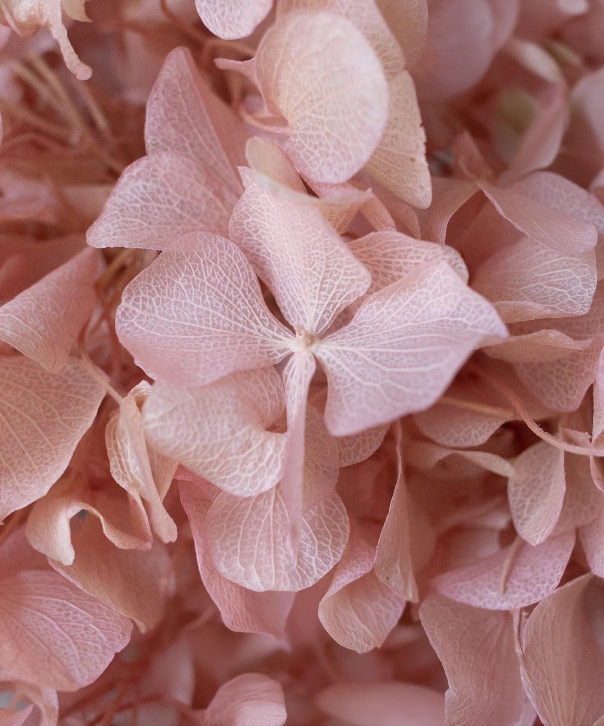 Imagen del producto 22