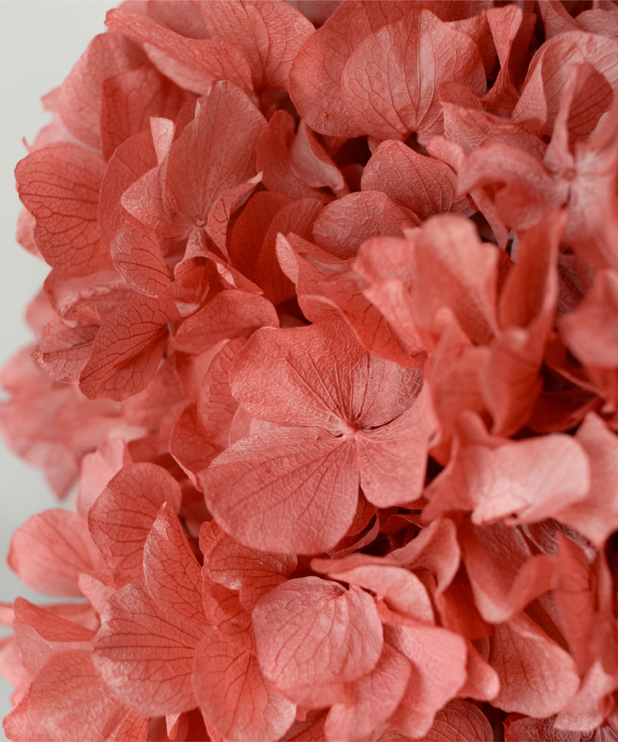 Imagen del producto 23