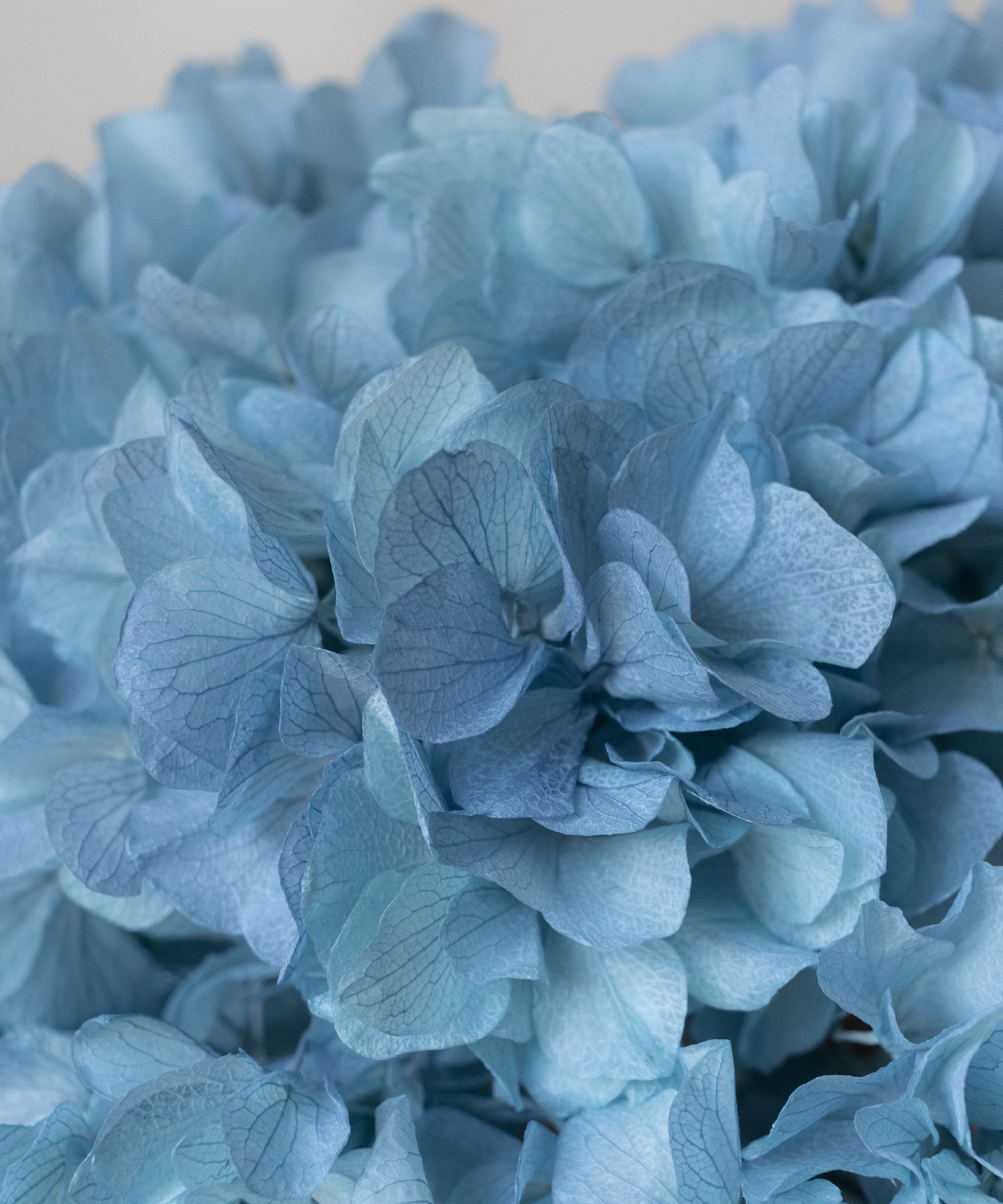 Imagen del producto 26