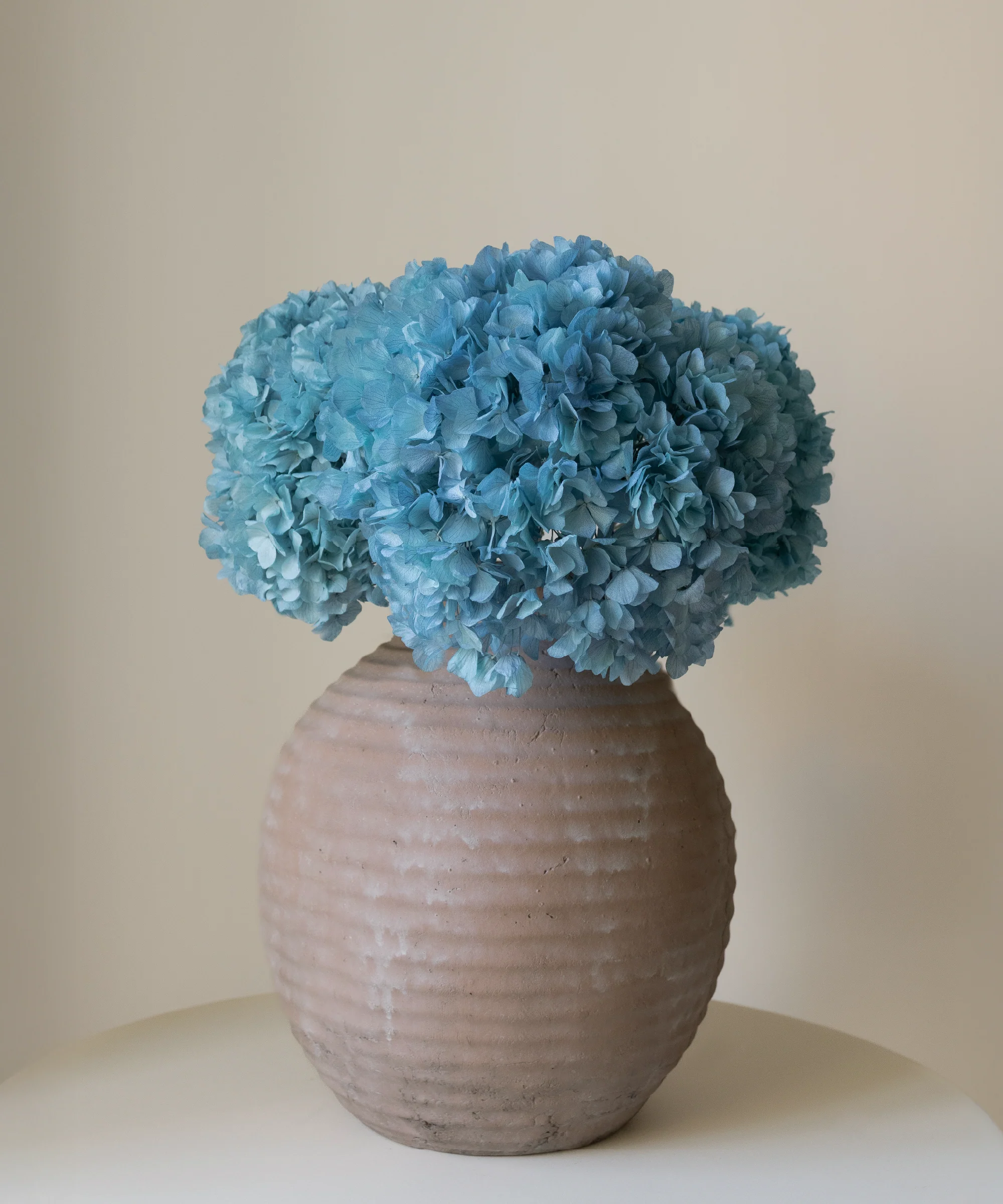 Imagen del producto 8