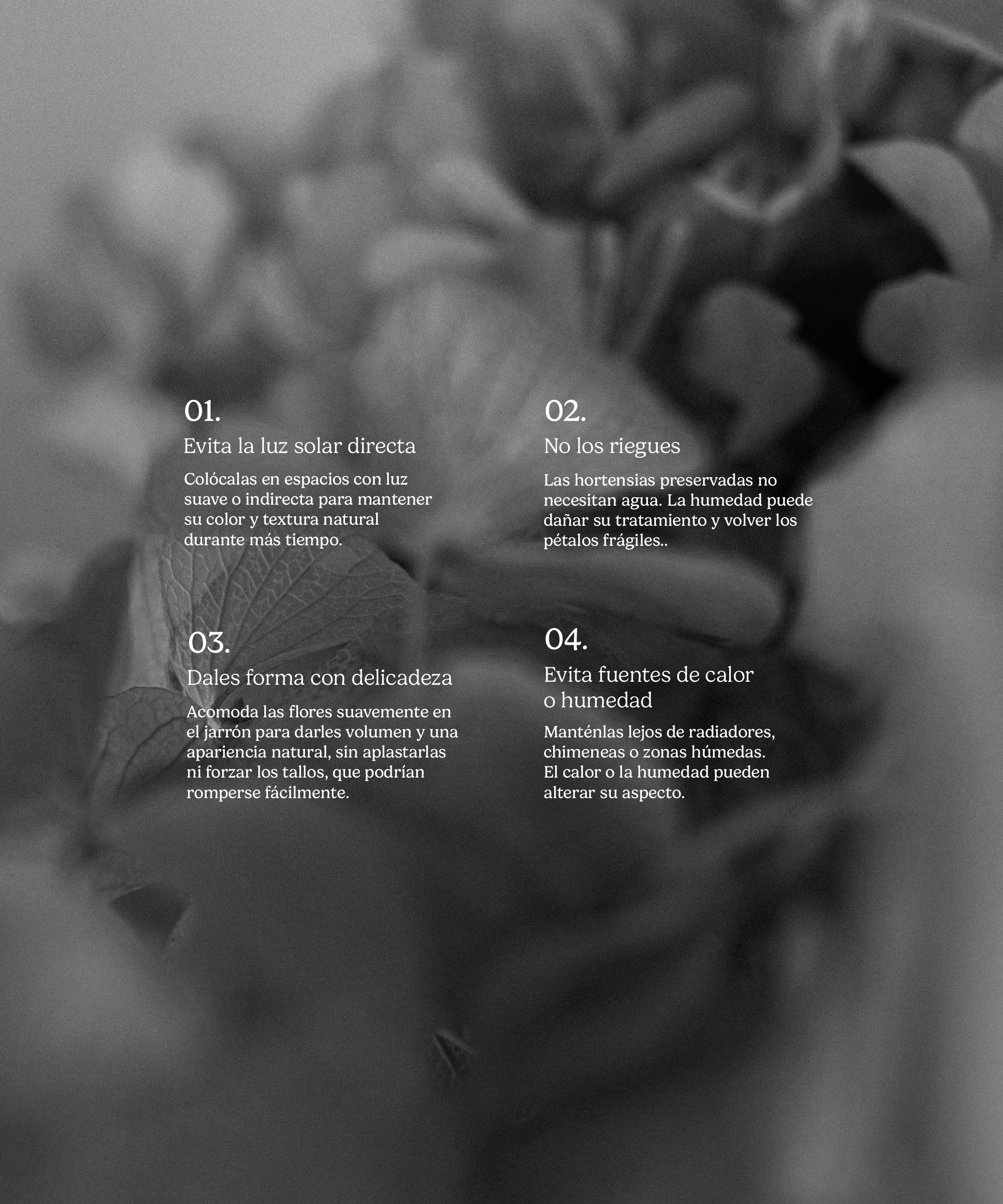 Imagen del producto 9